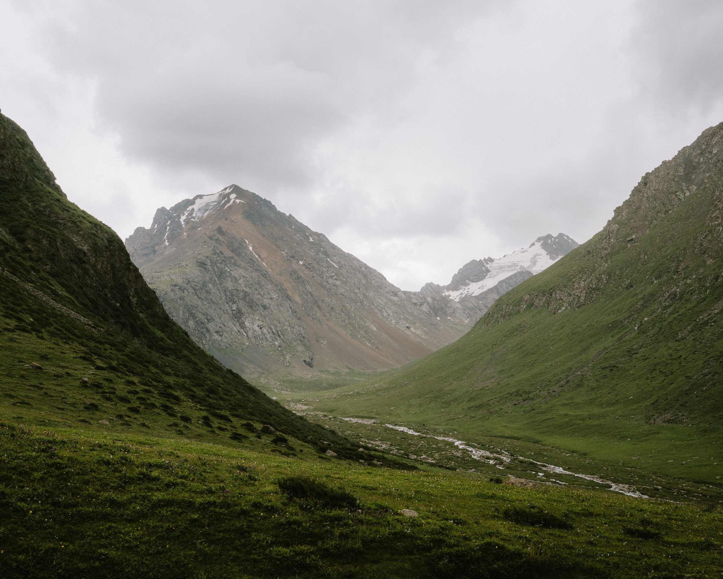_DSC3765.jpeg