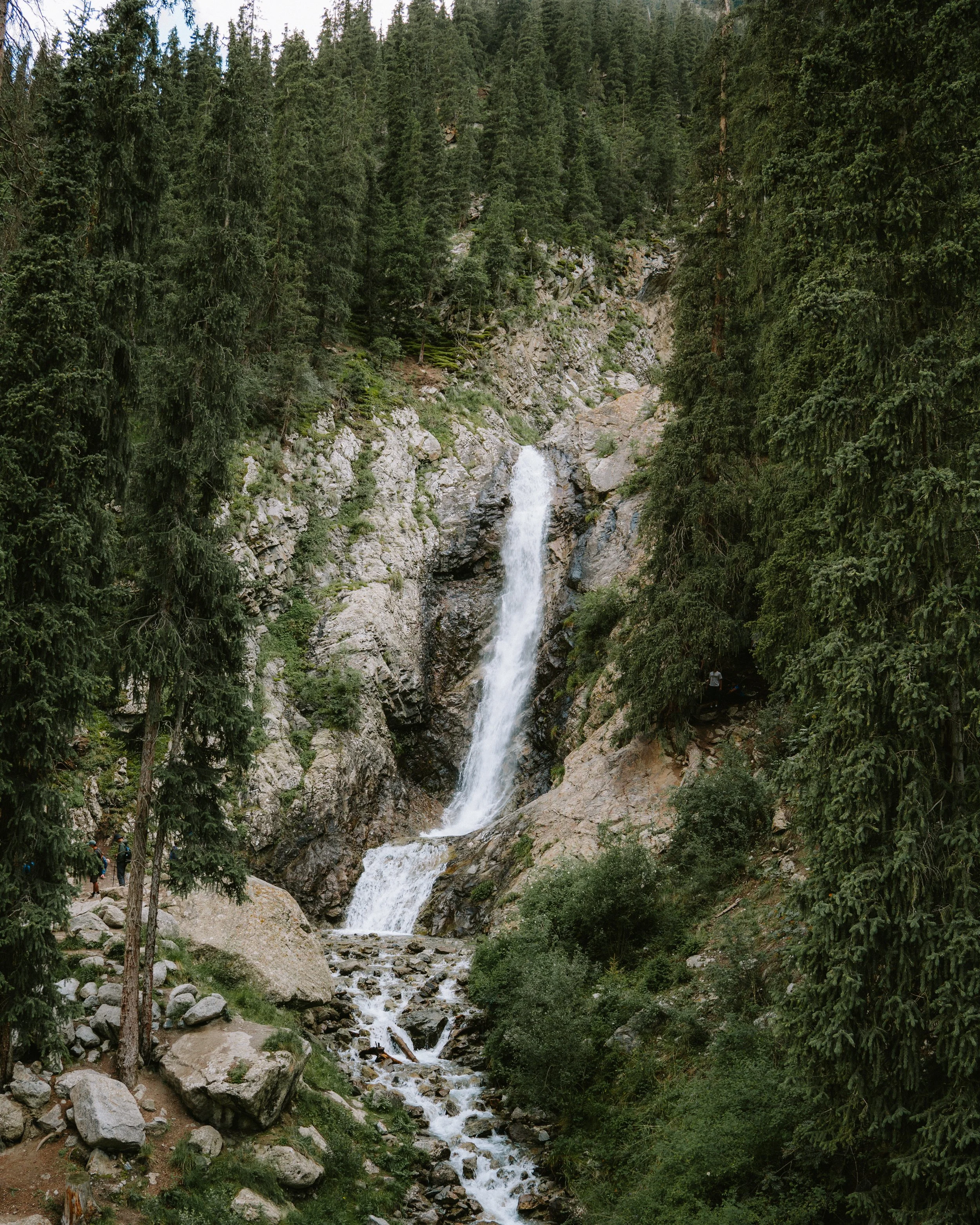 _DSC3913.jpeg