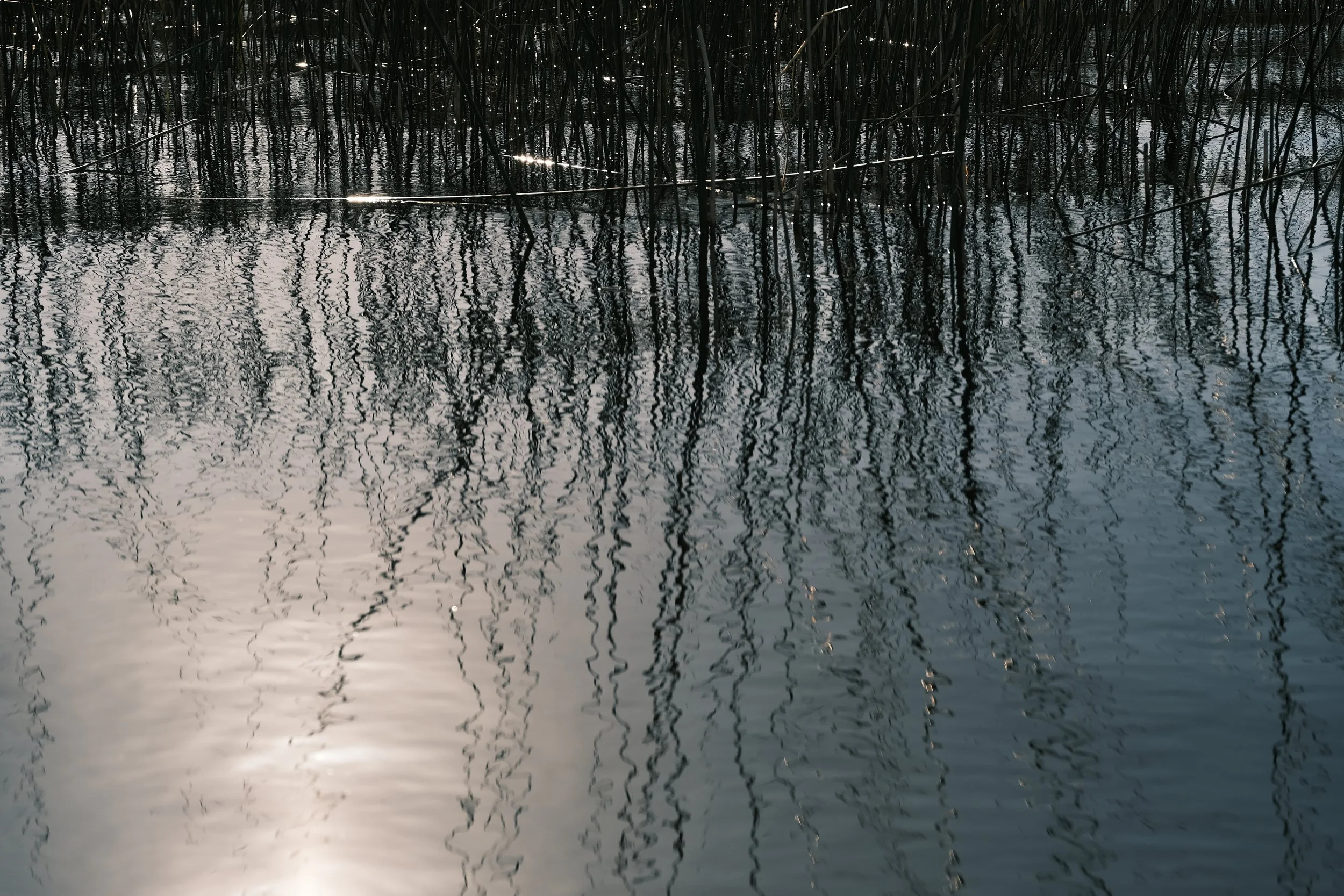 DSCF1191.JPG
