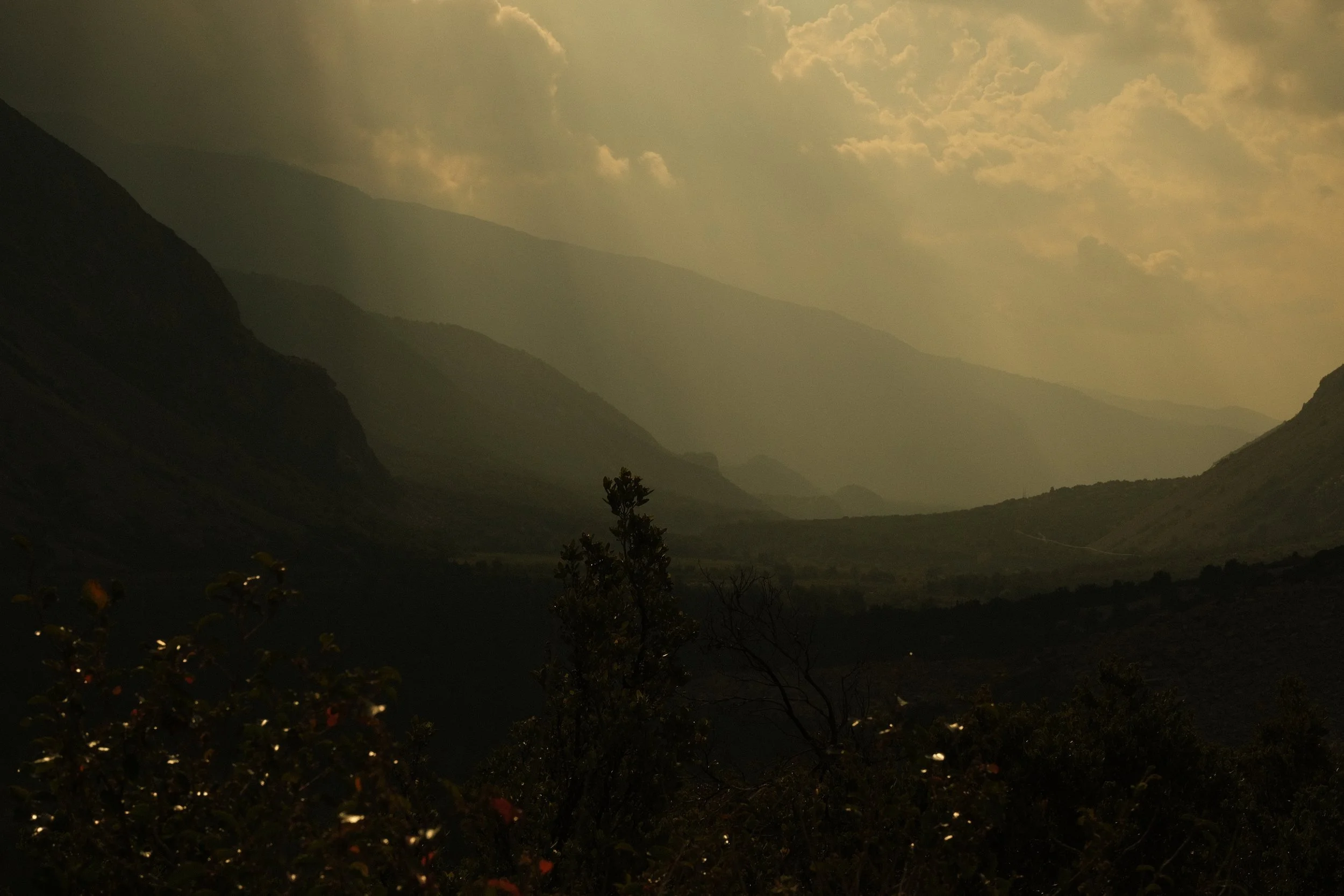 DSCF3272.JPG