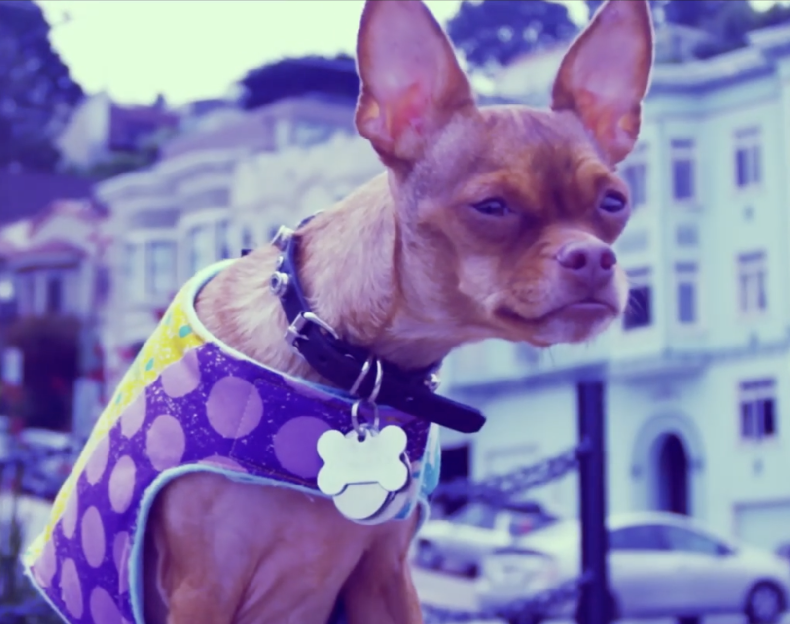 Music Video "Jefe Indio"