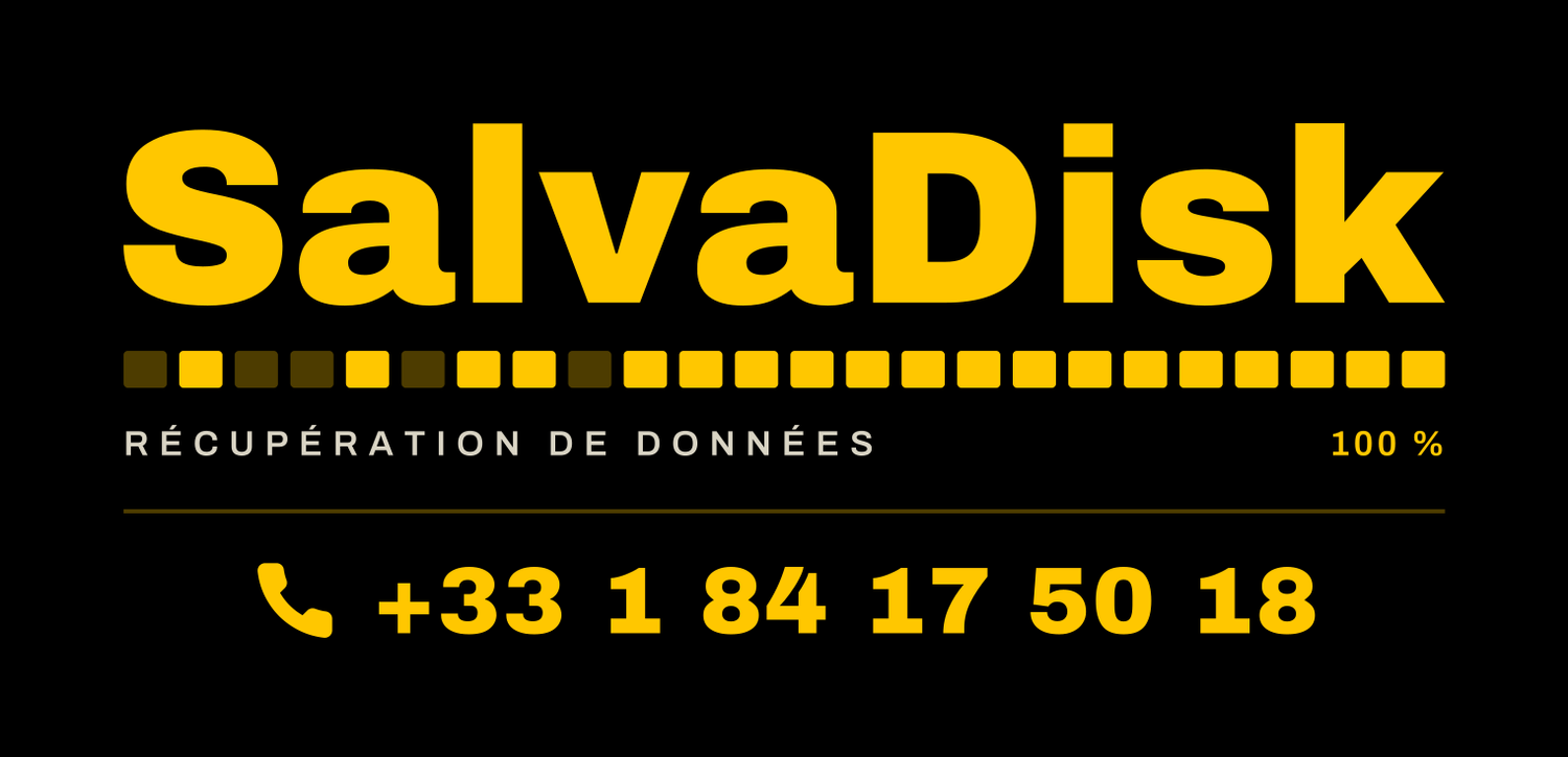 SalvaDisk