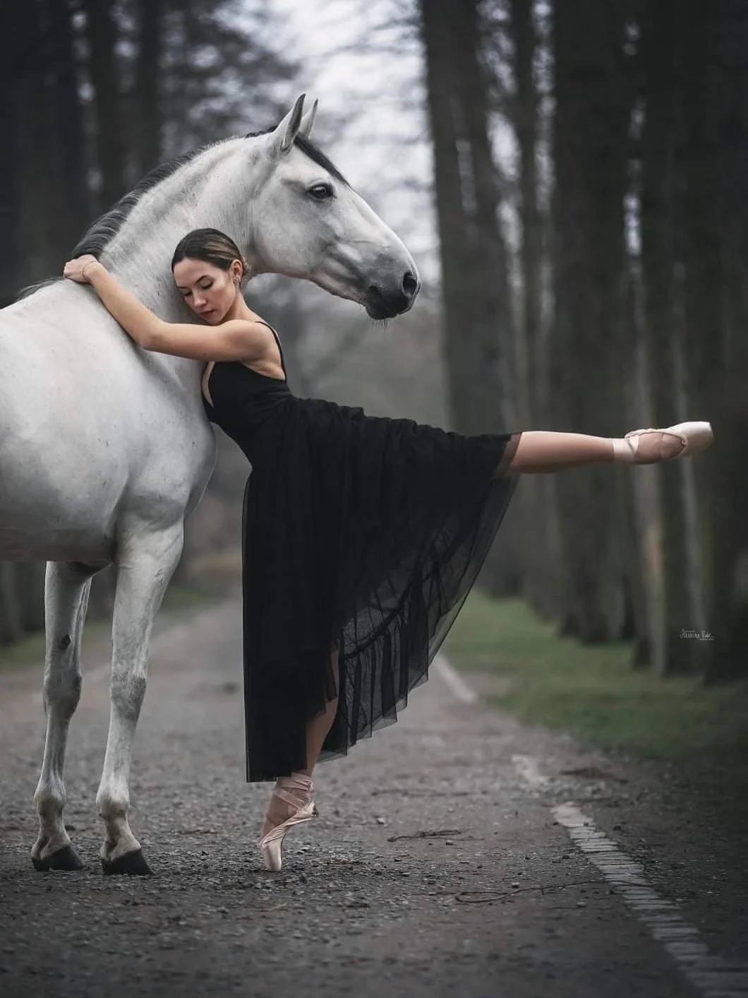 work-with-ballerina-white-horse.jpg