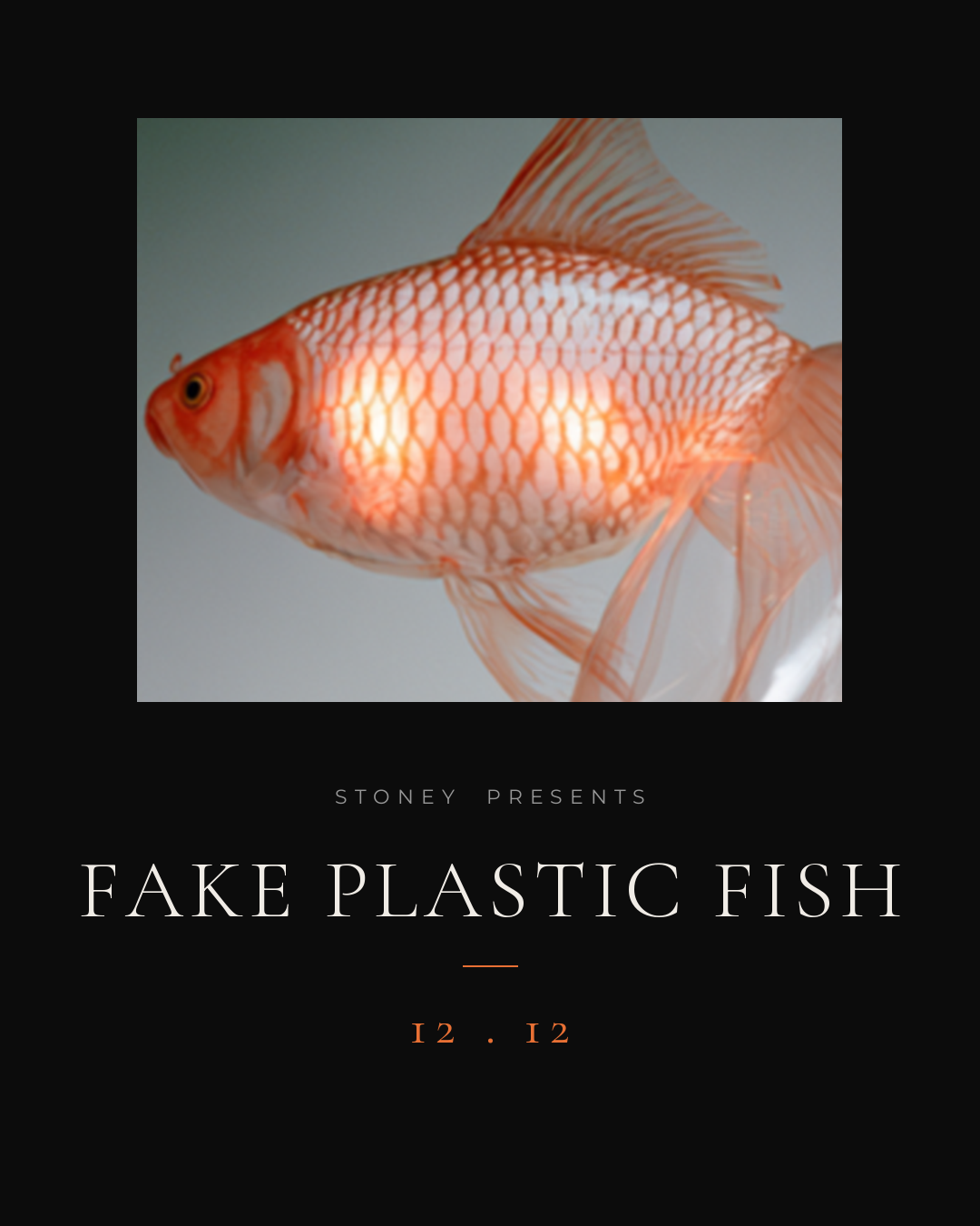 Fake Plastic Fish — Stoney presents, 12.12 promotional cover