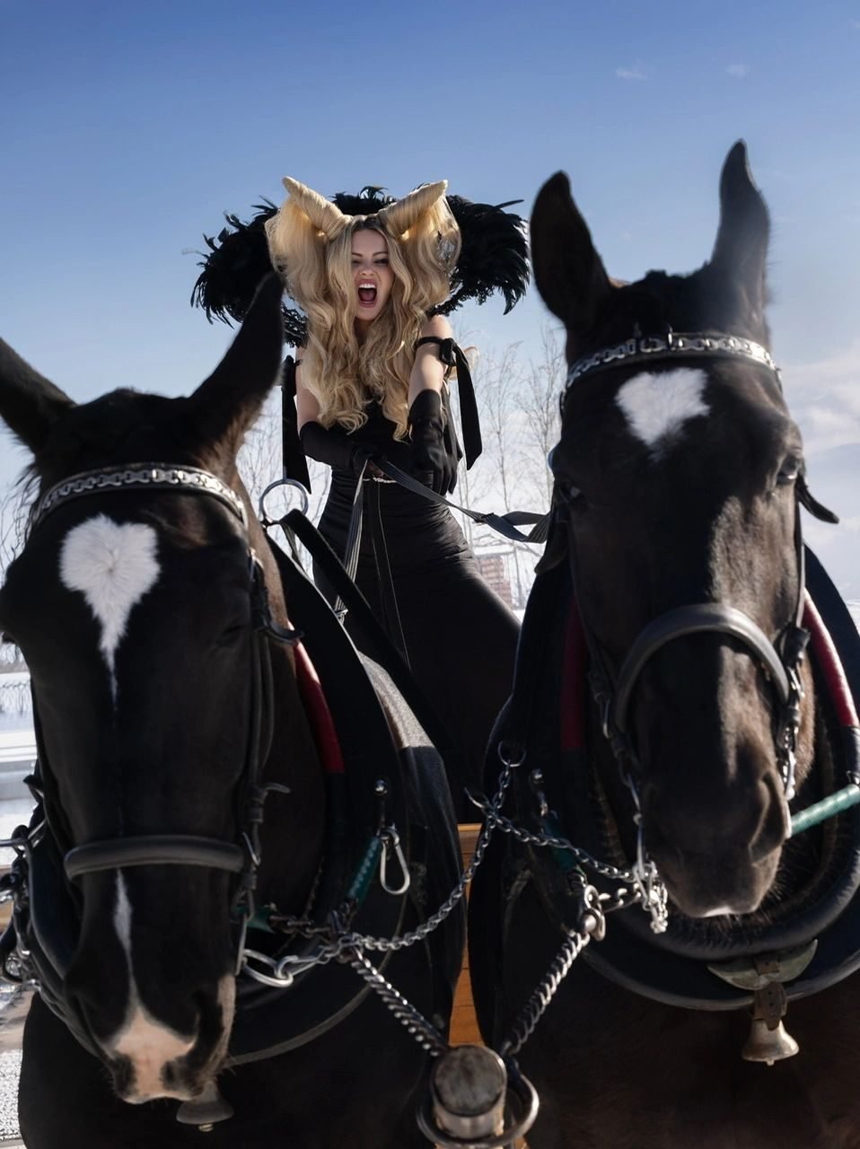 home-model-with-black-horses-snow.jpg