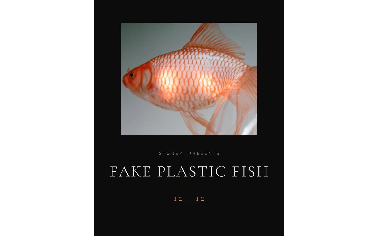 Fake Plastic Fish editorial workshop cover