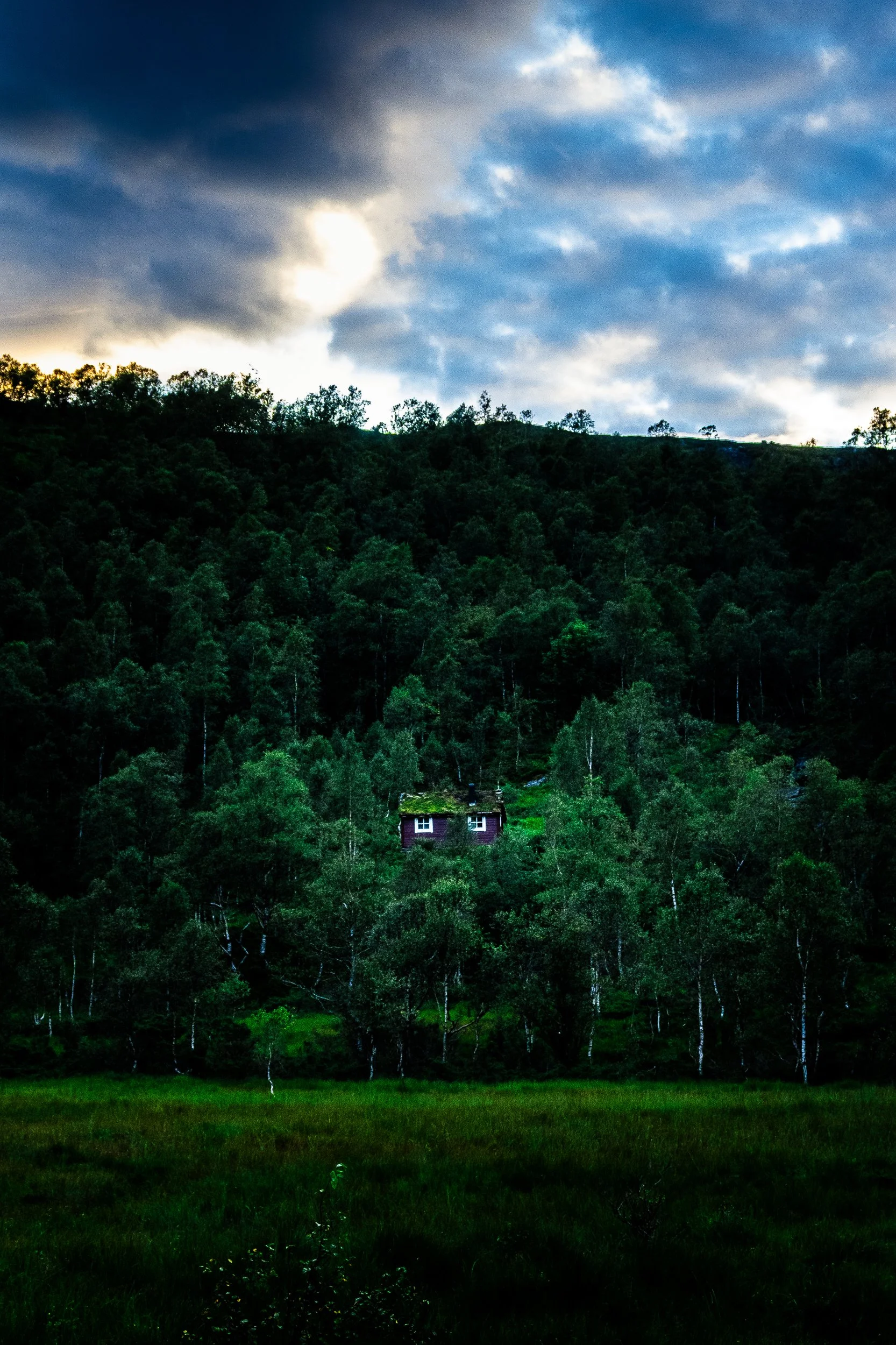 Small cabin nestled in a dense green forest beneath a dramatic cloudy sky