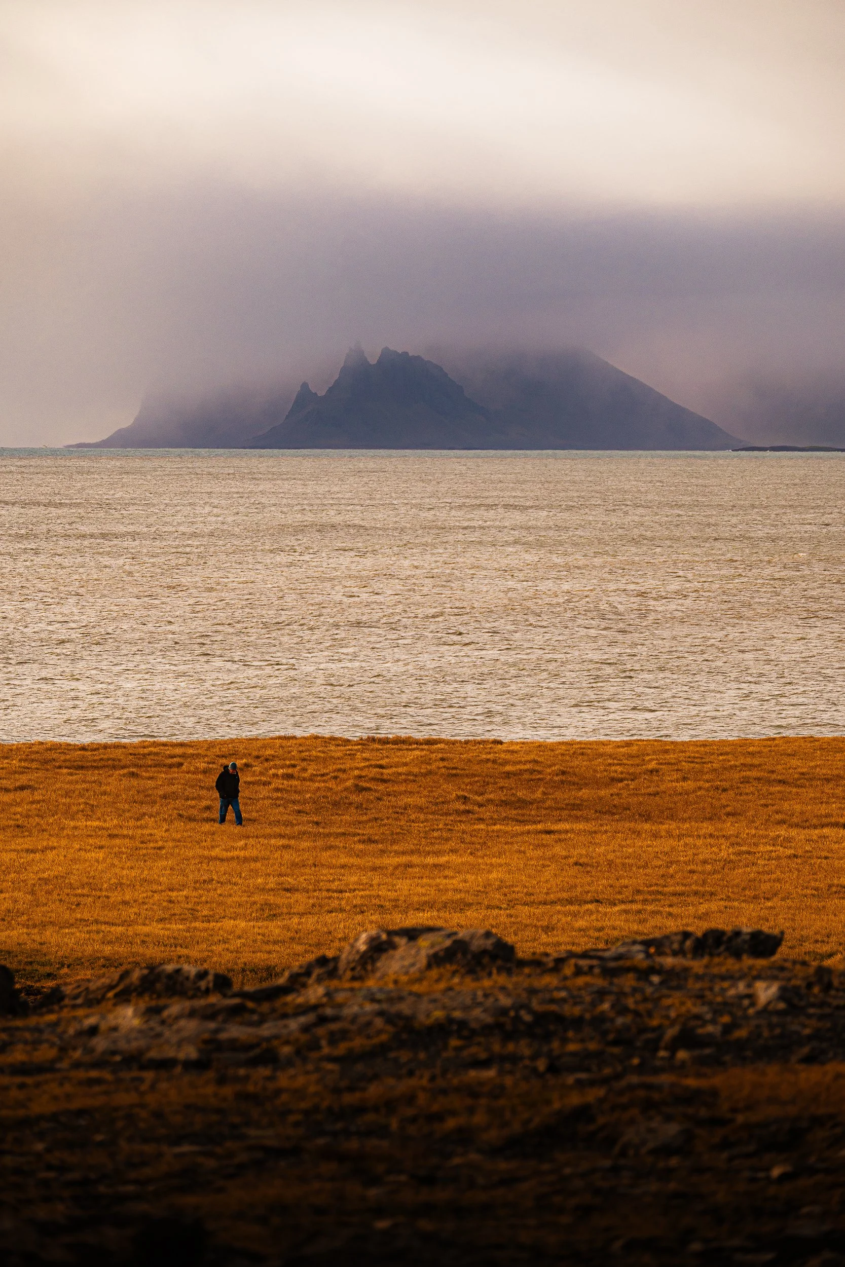 Person standing in a golden field overlooking calm water and a mist-shrouded mountain island