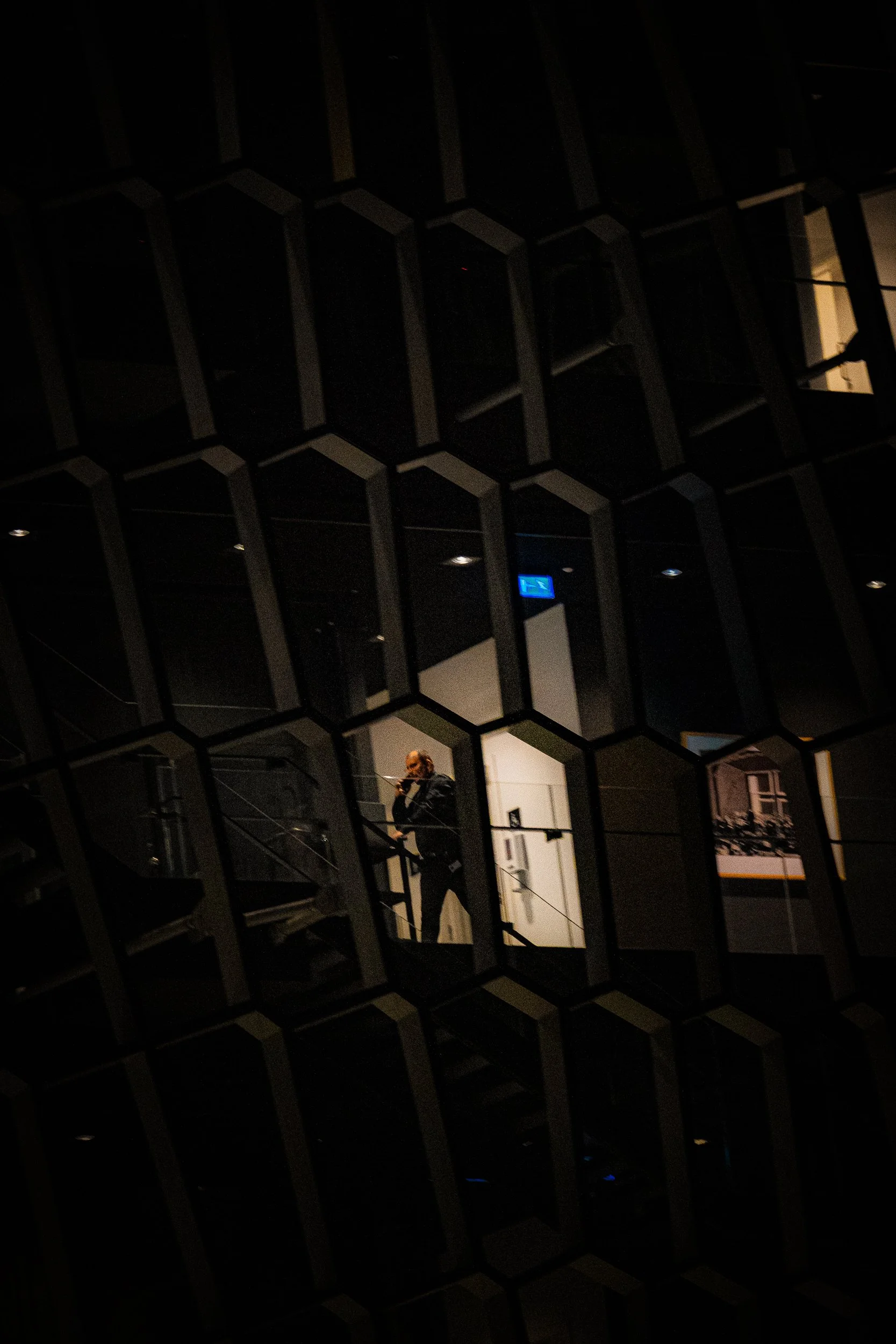 Person standing behind a dark geometric metal fence at night, with illuminated building windows in the background.