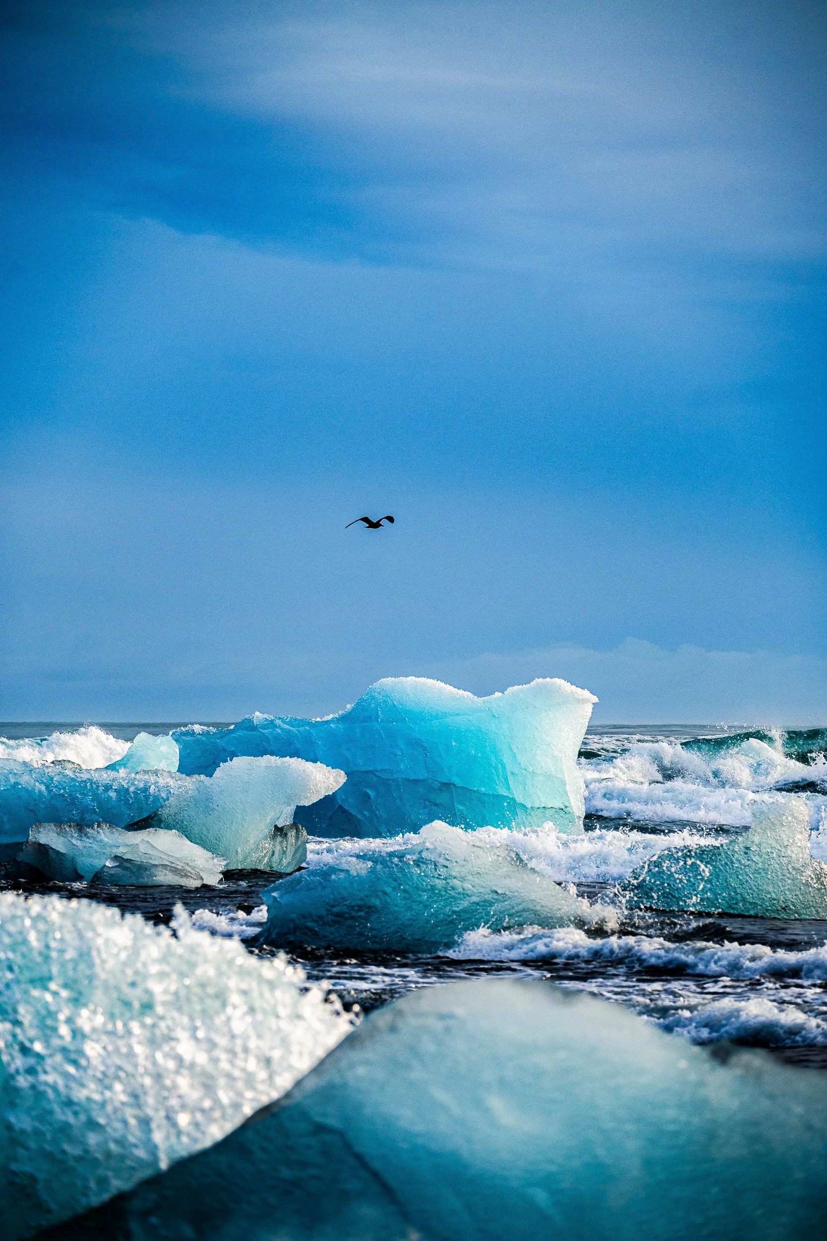 Blue icebergs floating in ocean waves beneath a cloudy sky, with a seabird flying overhead