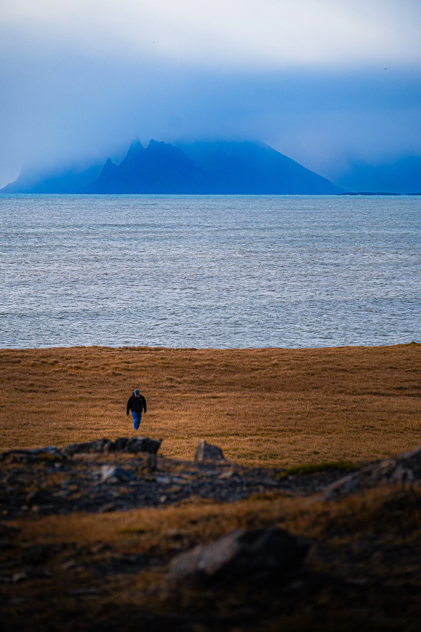 Person walking across a grassy coastal field toward the ocean, with a mist-shrouded mountain island in the distance.