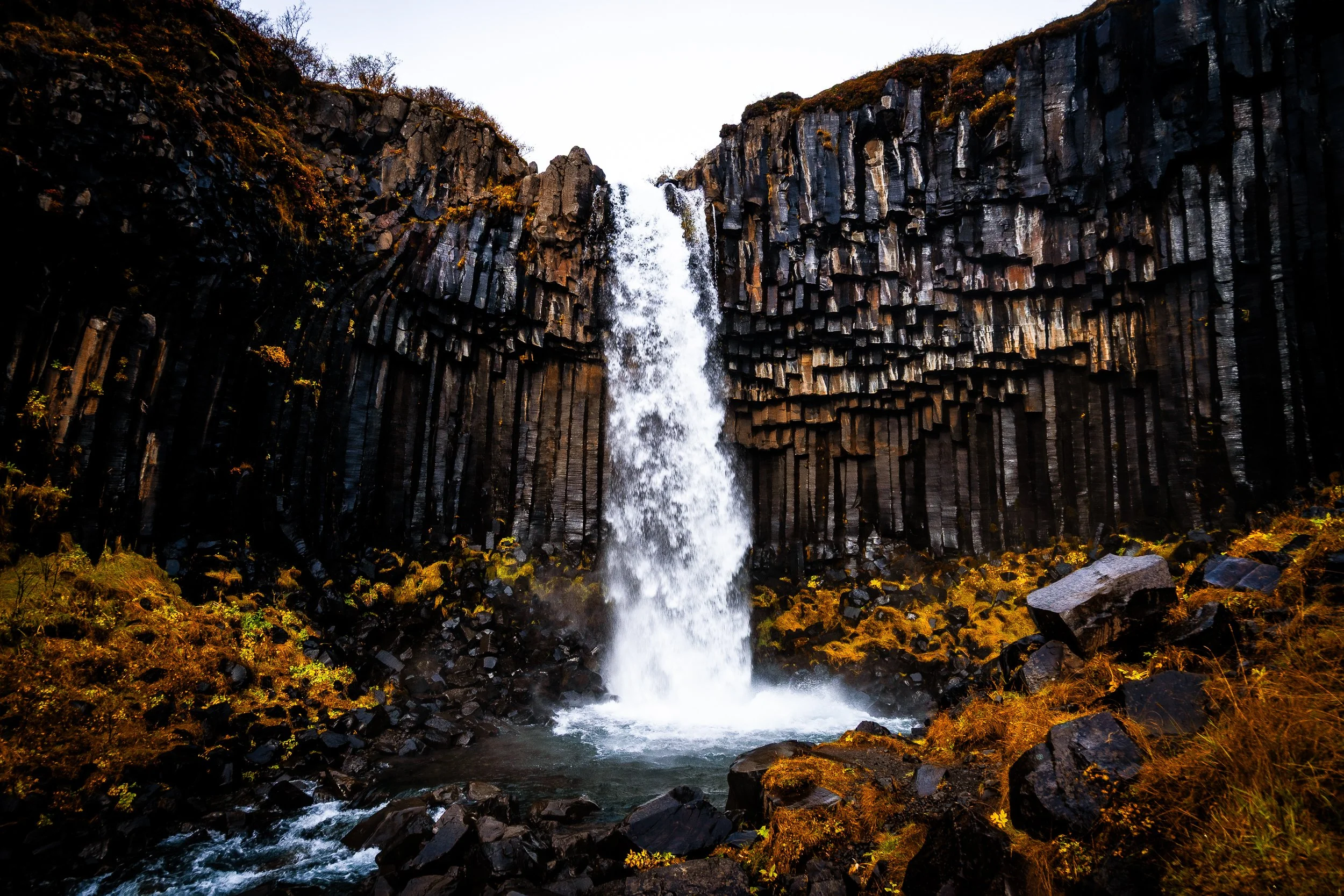 Waterfall cascading between dramatic basalt column cliffs covered in moss and autumn vegetation