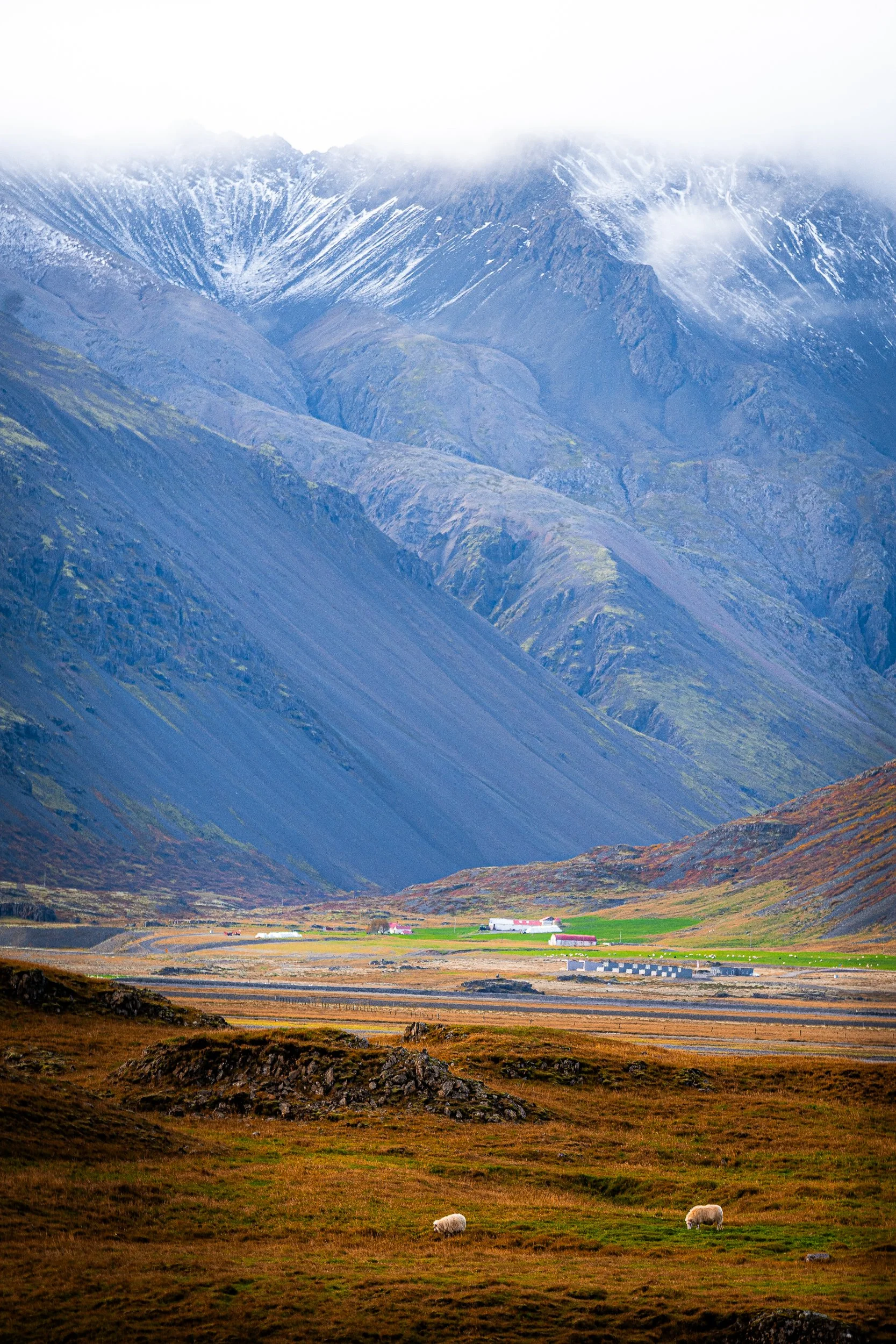 Snow-covered mountain valley with misty peaks, a rural farm, green fields, and grazing sheep.