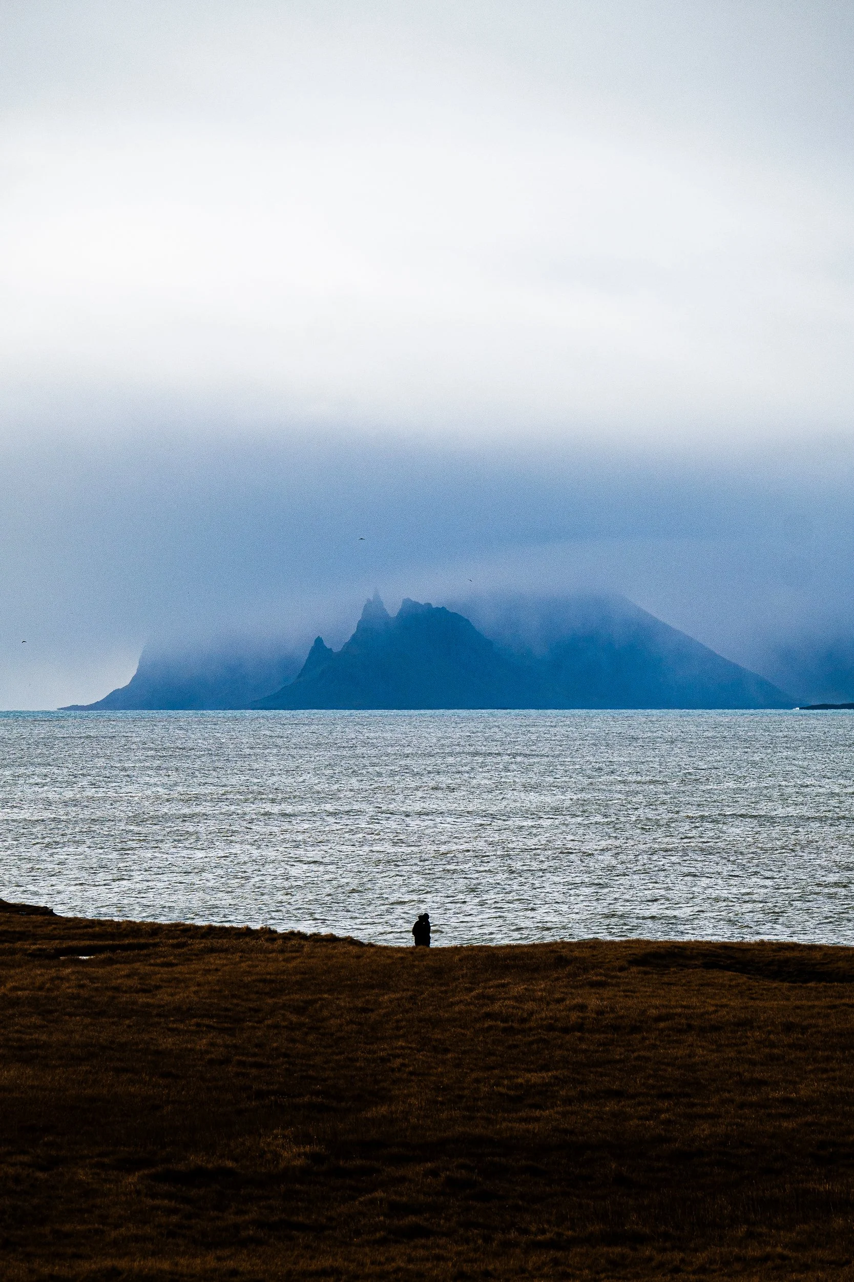 Misty, jagged mountain island rising behind a calm ocean, viewed from a dark grassy shoreline