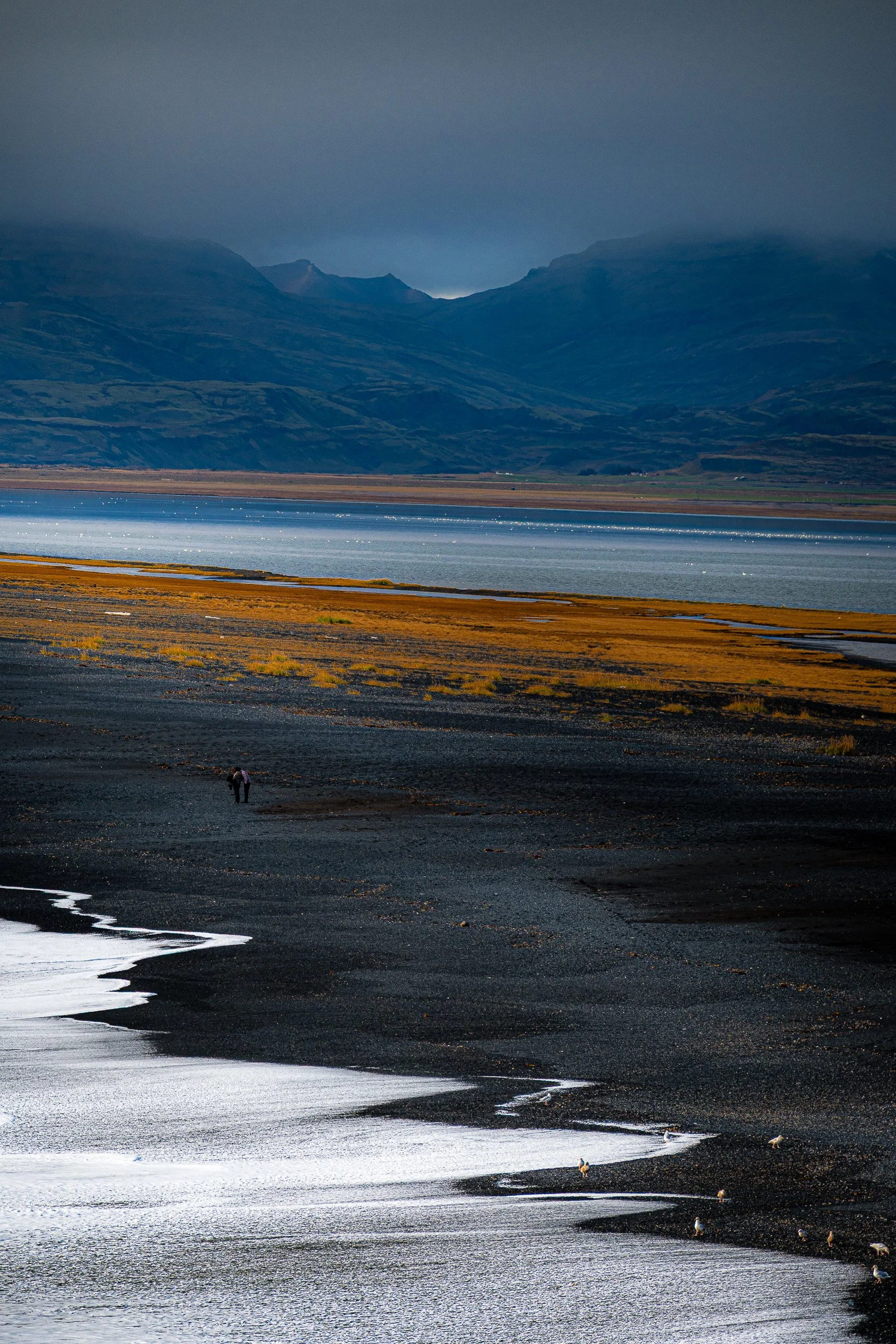 Black sand beach with seabirds, shallow coastal water, and mountains beneath a cloudy sky