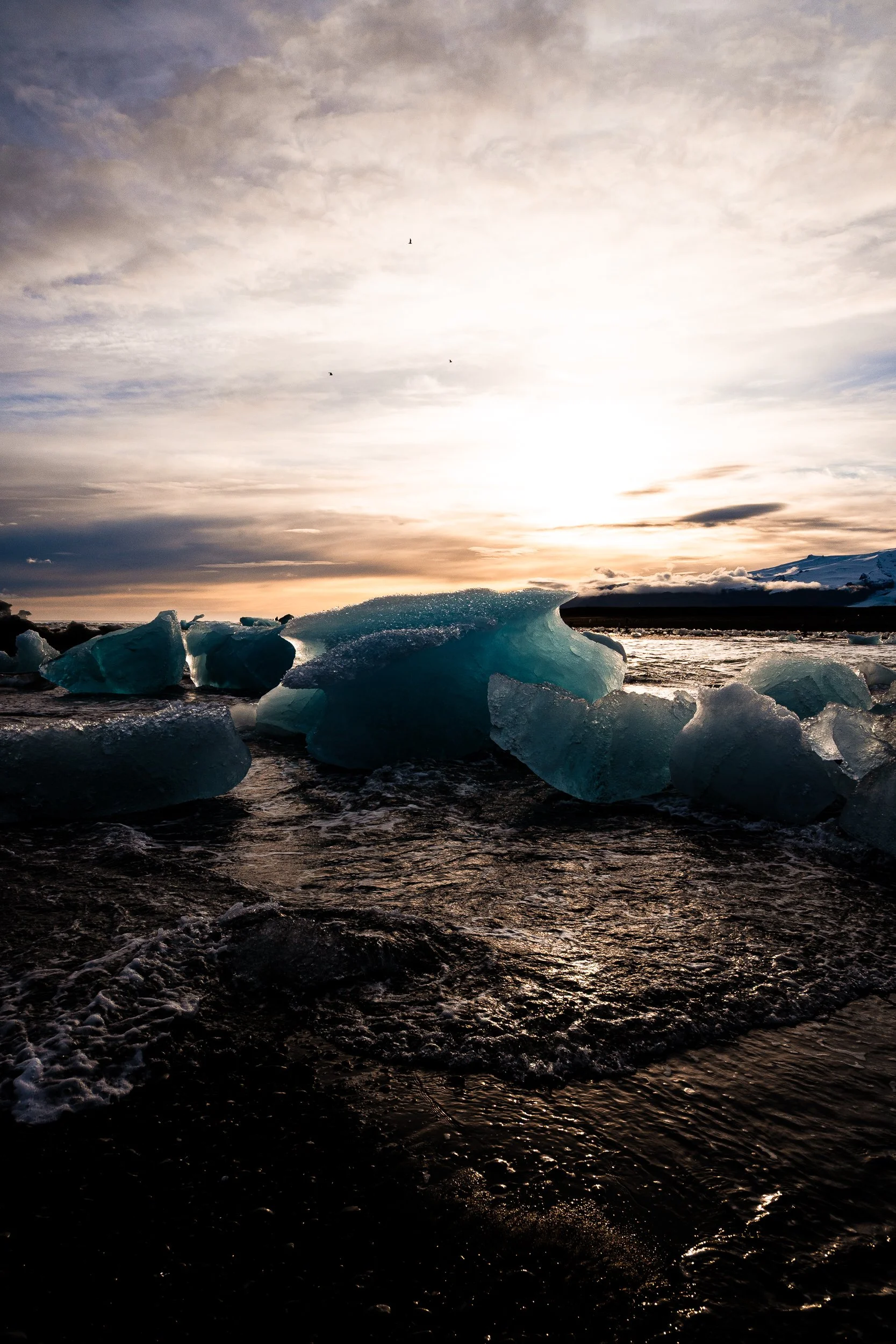 Blue ice chunks along a black-sand beach at sunset, with snow-covered mountains in the background