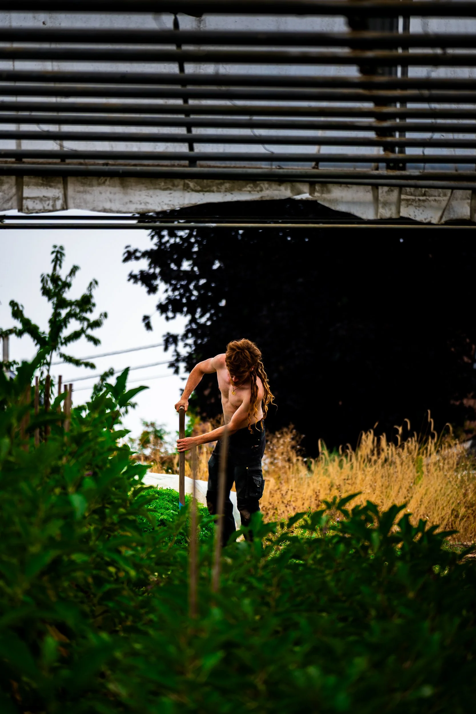 Shirtless person with long dreadlocks digging in a garden beneath an elevated railway bridge.