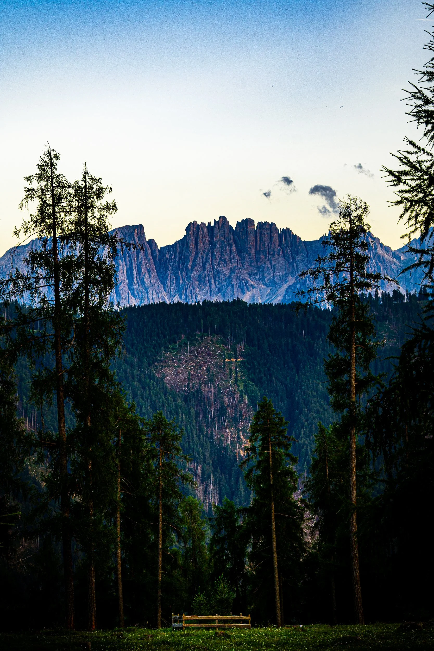 Wooden bench in a dark evergreen forest overlooking jagged mountain peaks beneath a clear blue sky