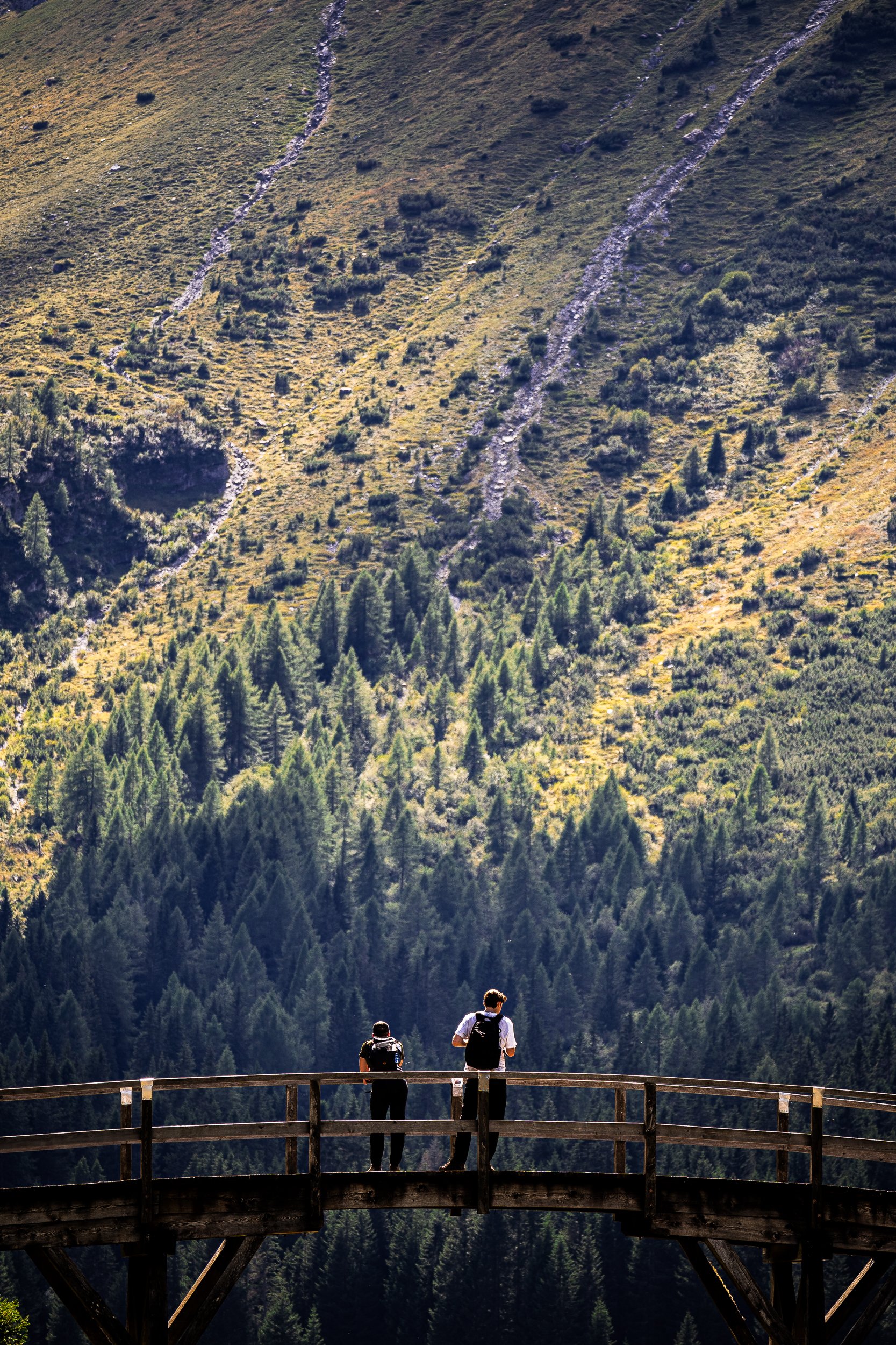 Two hikers stand on a wooden viewing platform overlooking a forested mountain slope and alpine meadow.