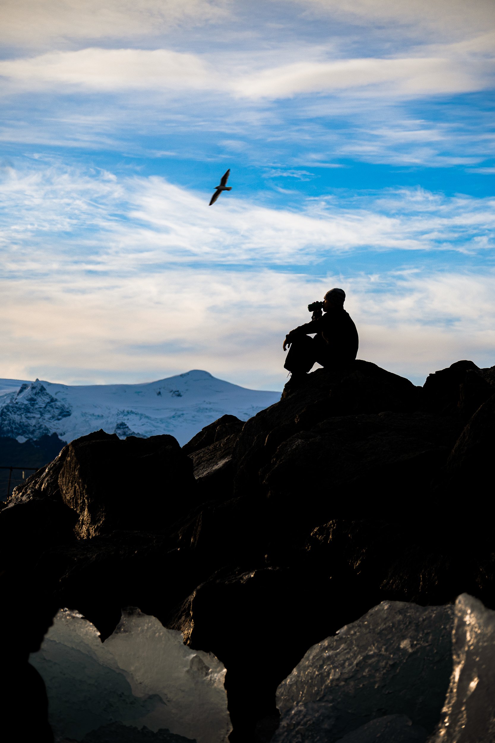 Silhouetted hiker drinking from a bottle on rocky mountain terrain, with a bird flying overhead and snow-covered peaks under a blue sky.