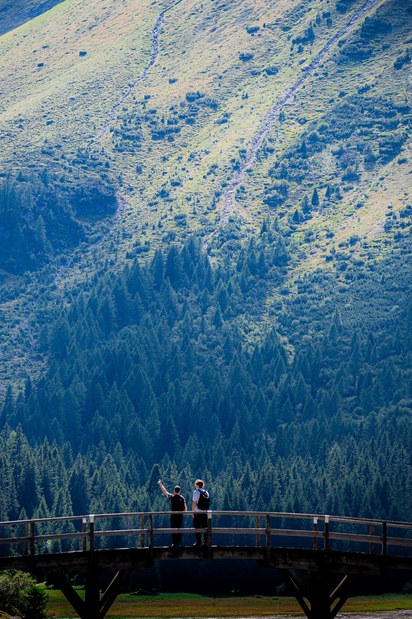 Two hikers on a wooden viewing platform overlooking a forested mountain valley and alpine hillside