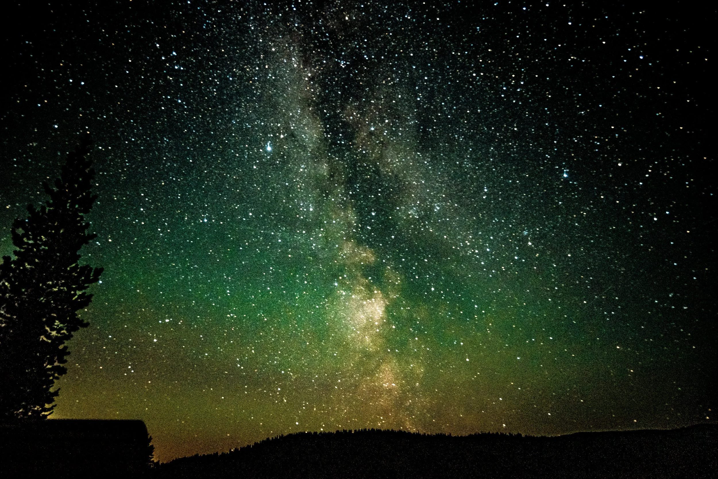 Star-filled night sky with the Milky Way above a dark forest silhouette