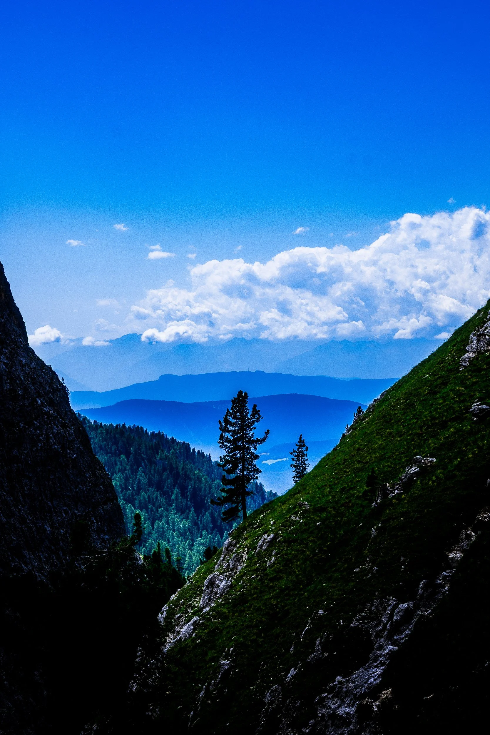 Mountain valley with evergreen trees, rocky slopes, distant blue peaks, and a bright cloud-filled sky