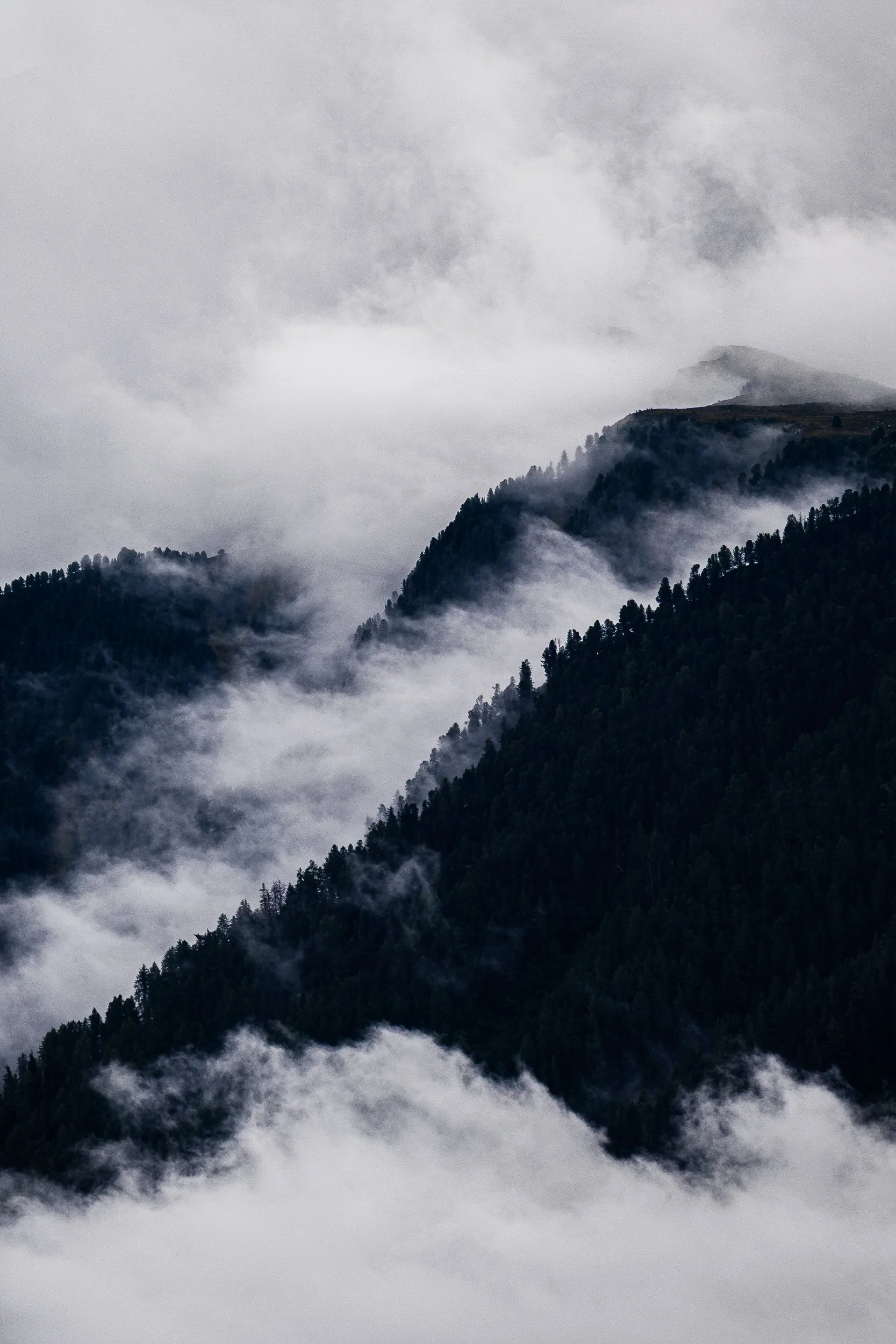 Fog drifting through dark, forested mountain ridges beneath an overcast sky