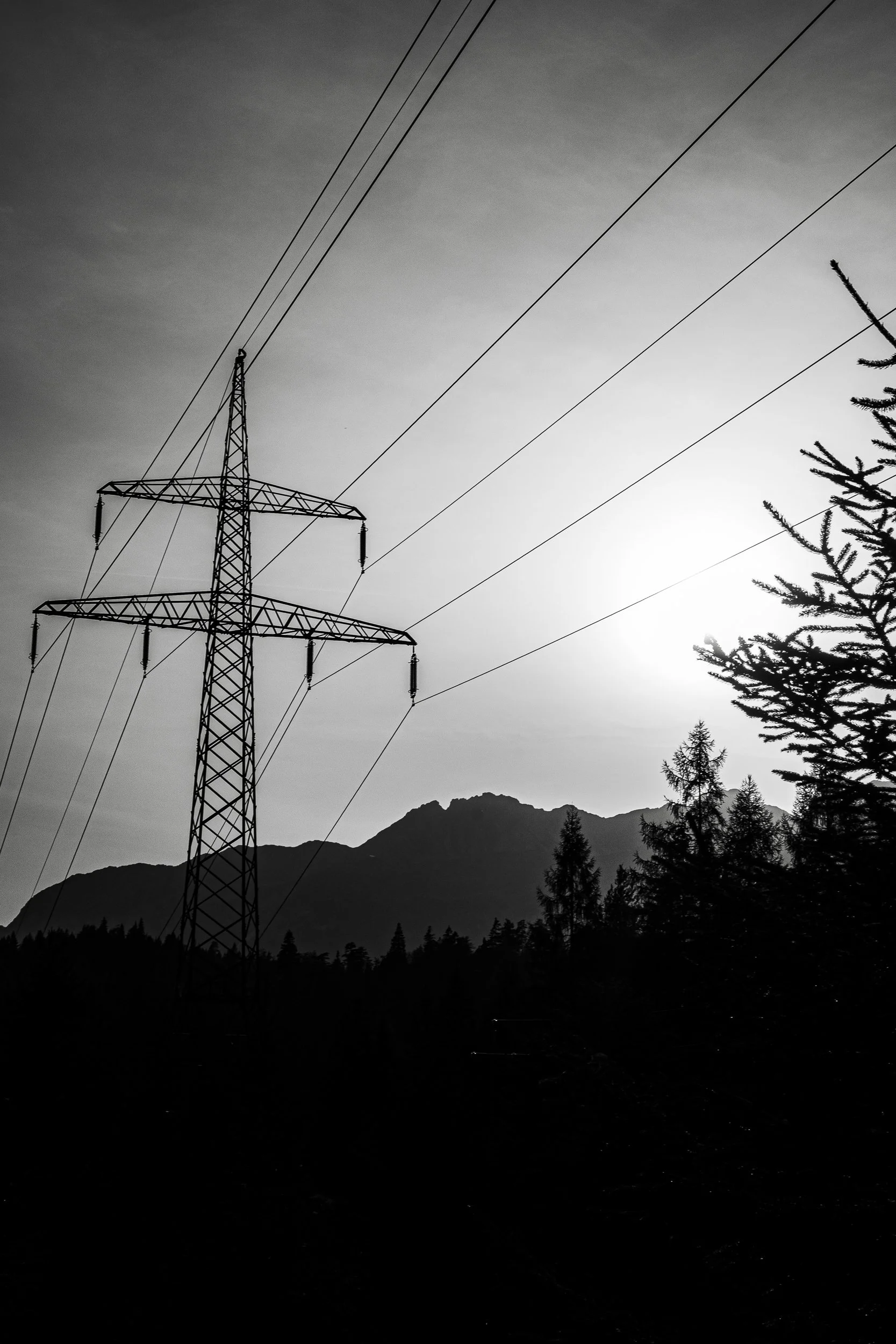 Black-and-white silhouette of a high-voltage transmission tower and power lines against the sun, with evergreen trees and mountain peaks in the background.