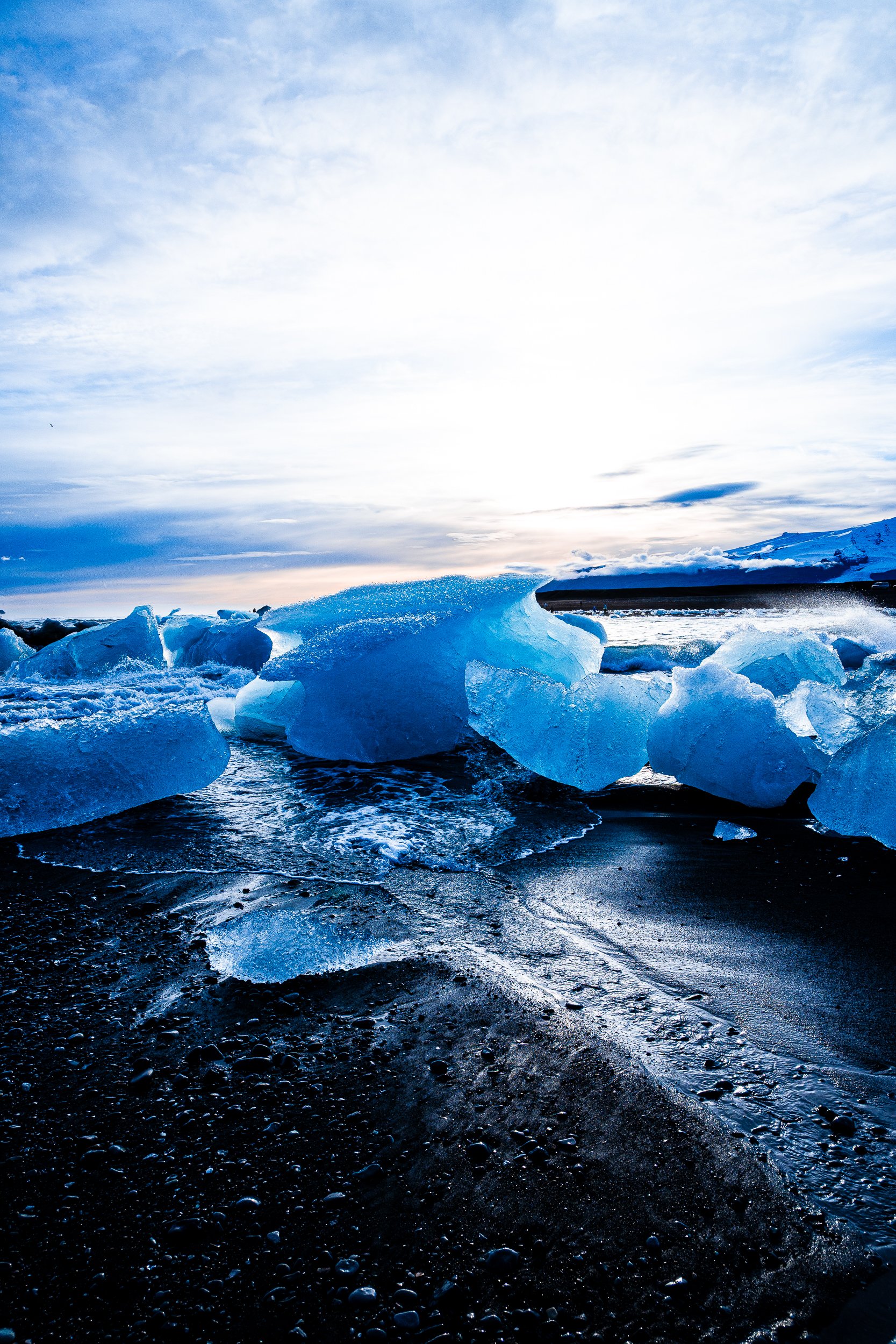 Blue icebergs scattered along Iceland’s black sand beach beneath a cloudy sky