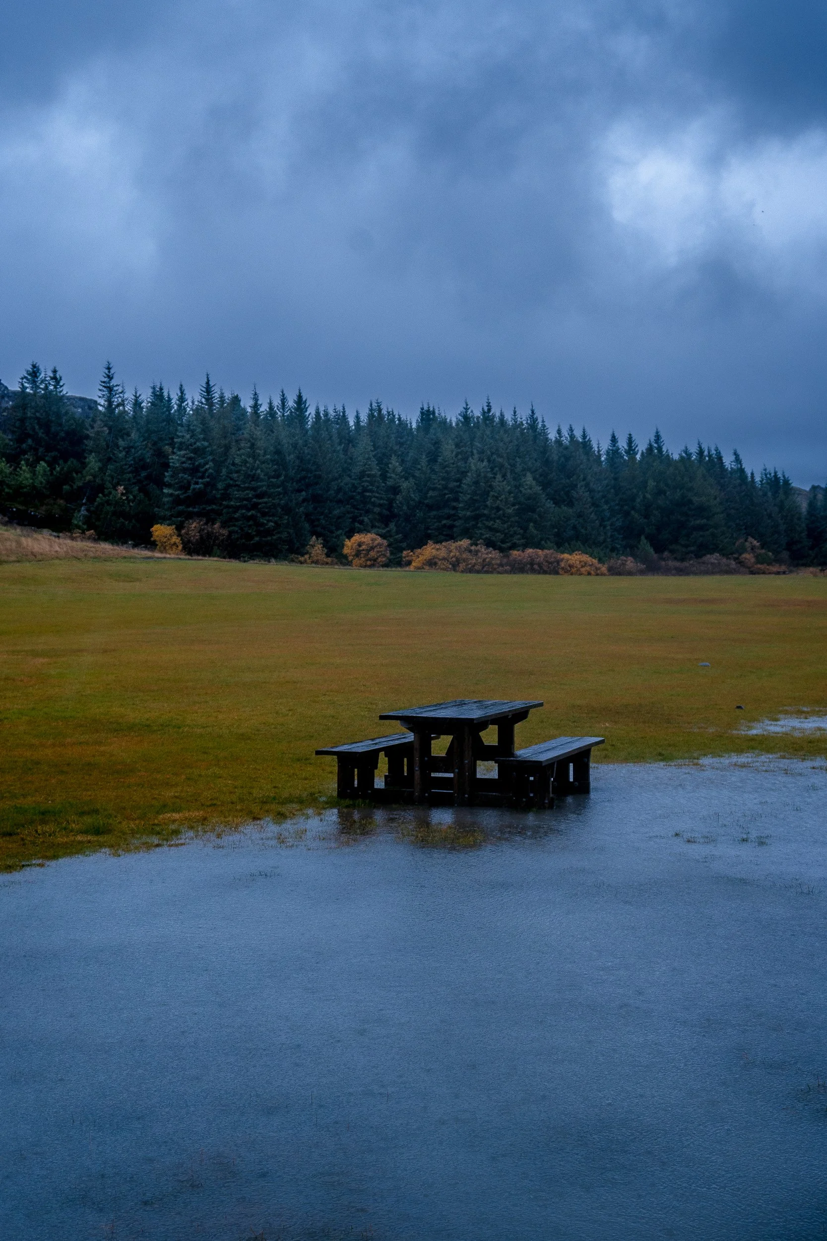 Rain-soaked picnic table in a grassy field beneath storm clouds, with evergreen forest and autumn trees in the background