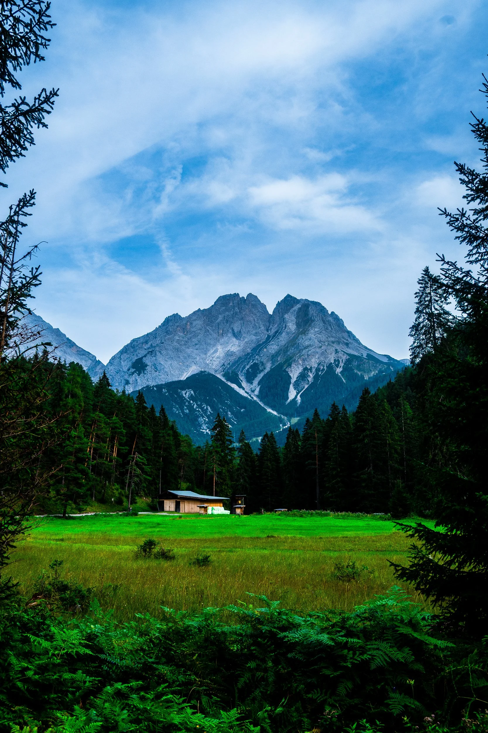 Jagged alpine mountain peaks above a dense evergreen forest, meadow, and small cabin under a blue sky