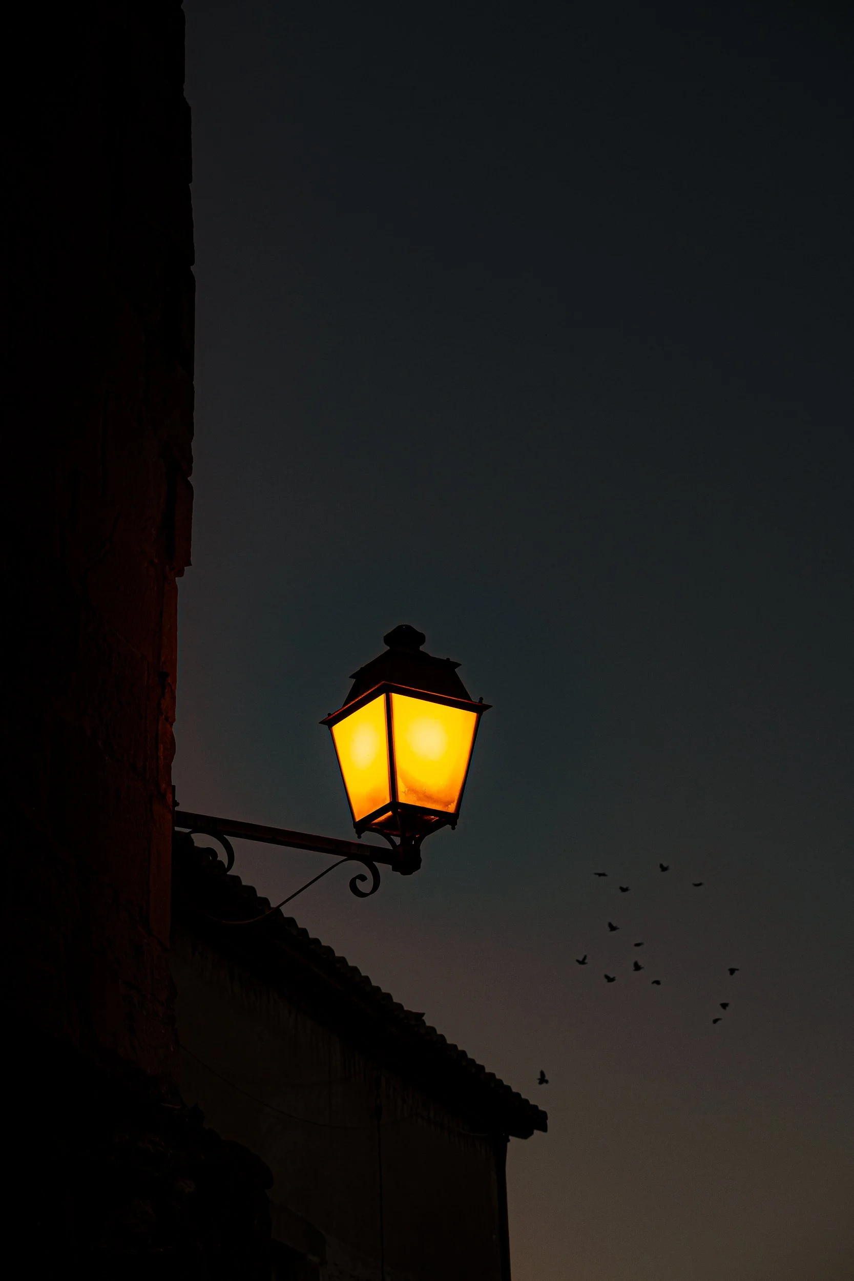 Glowing vintage wall lantern on a rustic building at dusk, with birds silhouetted against the dark sky