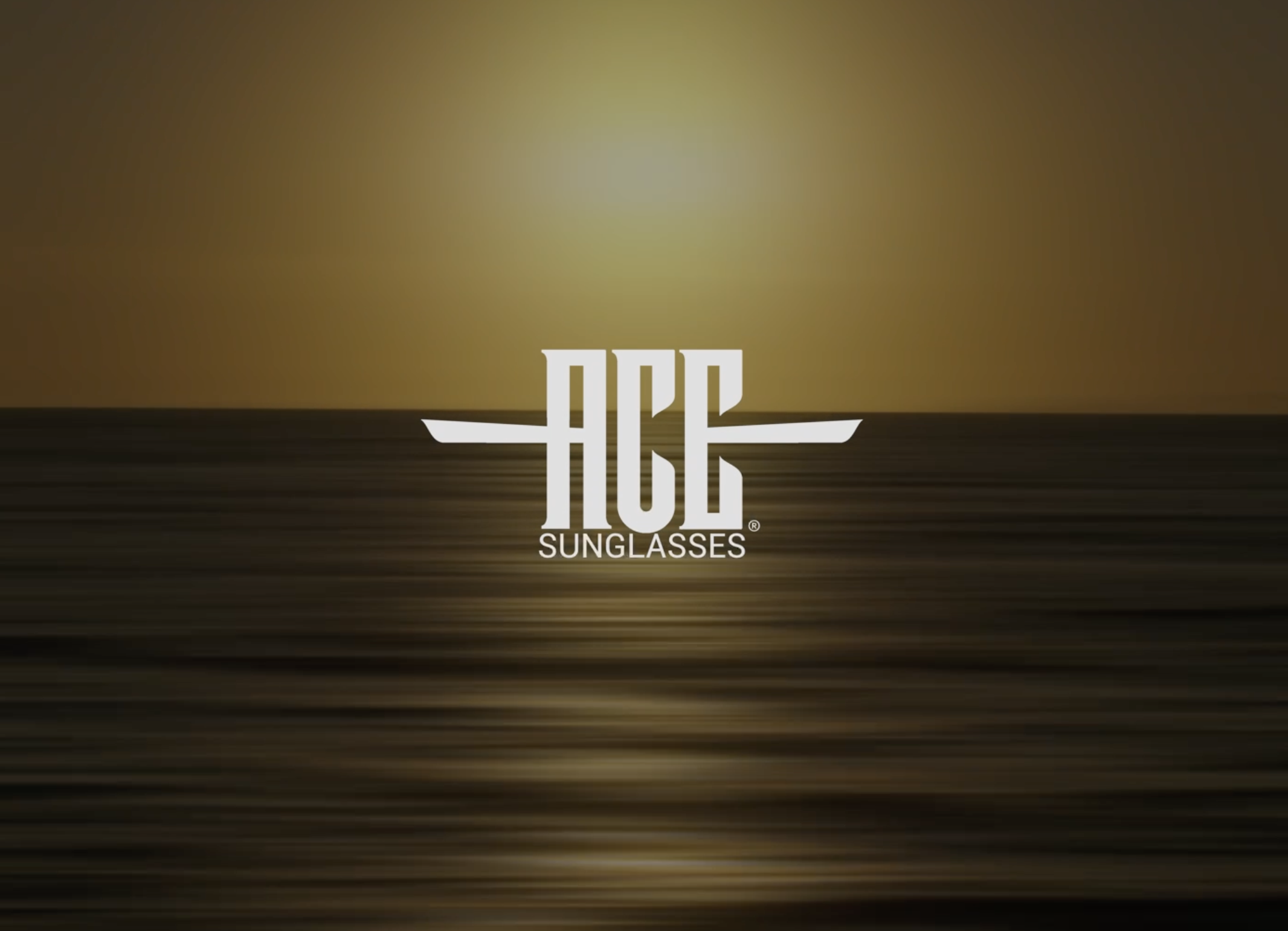 ACE - Seize