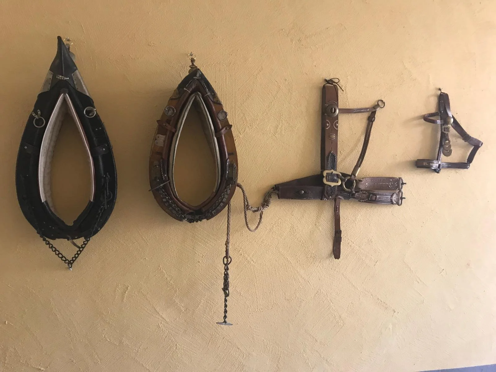 Zwei historische Kummete und Zaumzeug für Zugpferde an einer gelben Wand im Innenhof