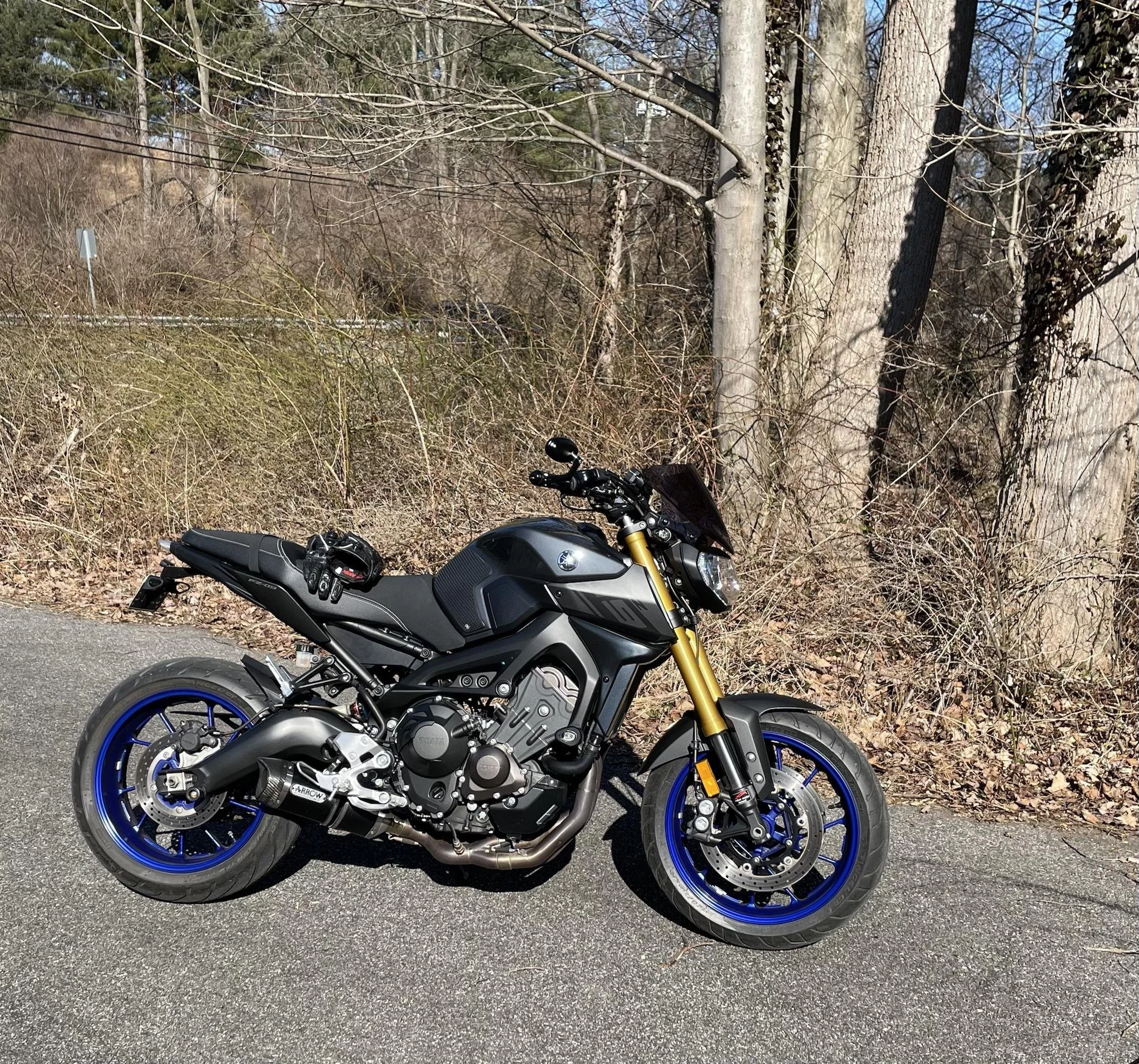 FZ-09