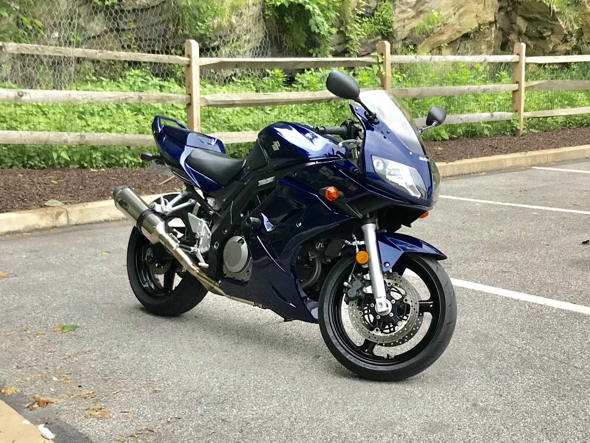 SV650S