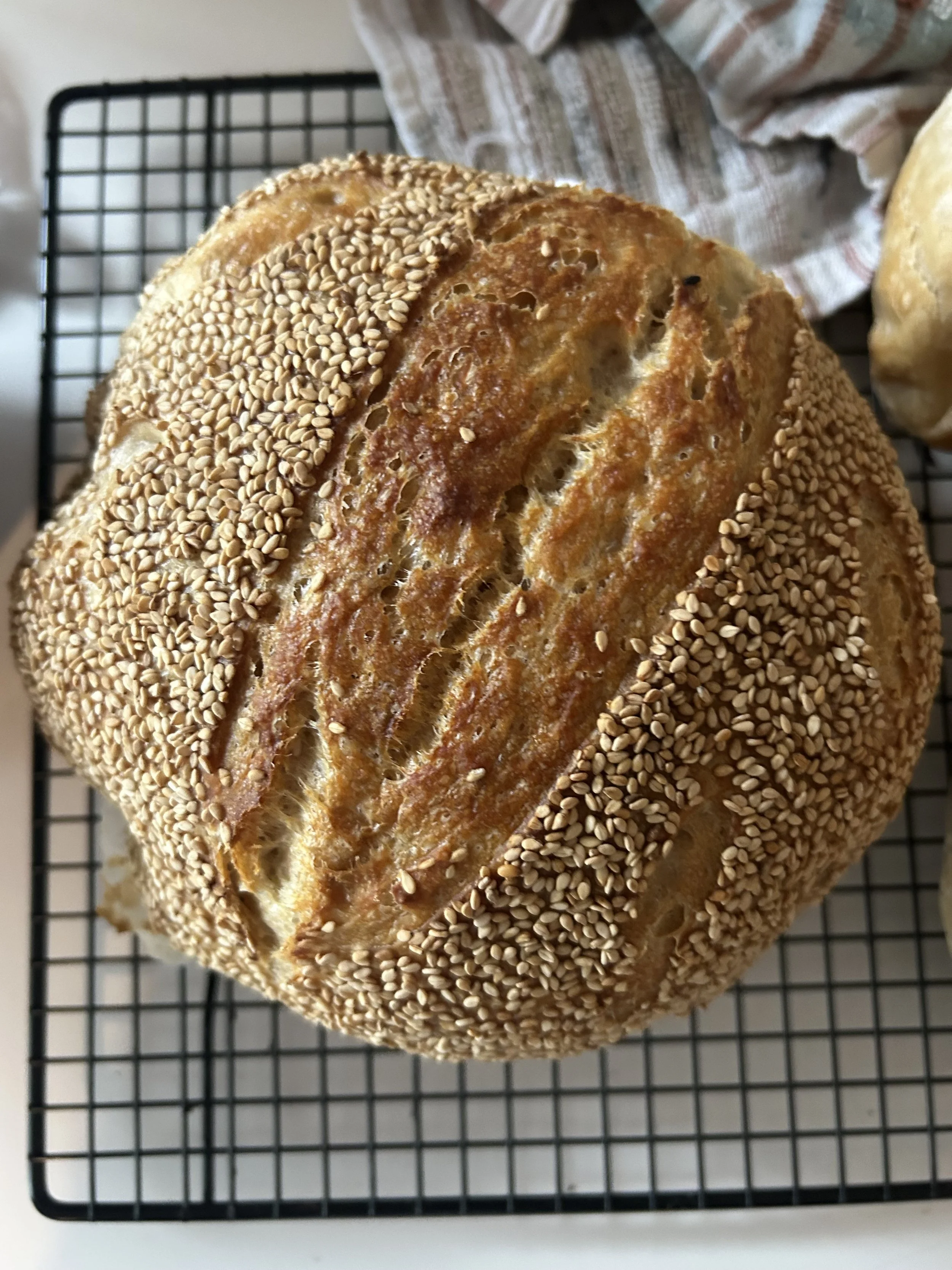 Sesame Sourdough