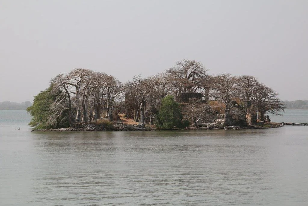gambia_gallery_52.jpeg
