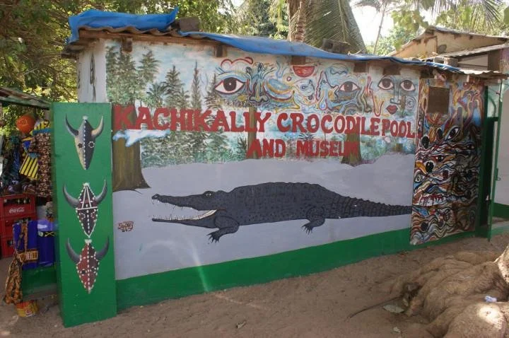 gambia_gallery_49.jpeg