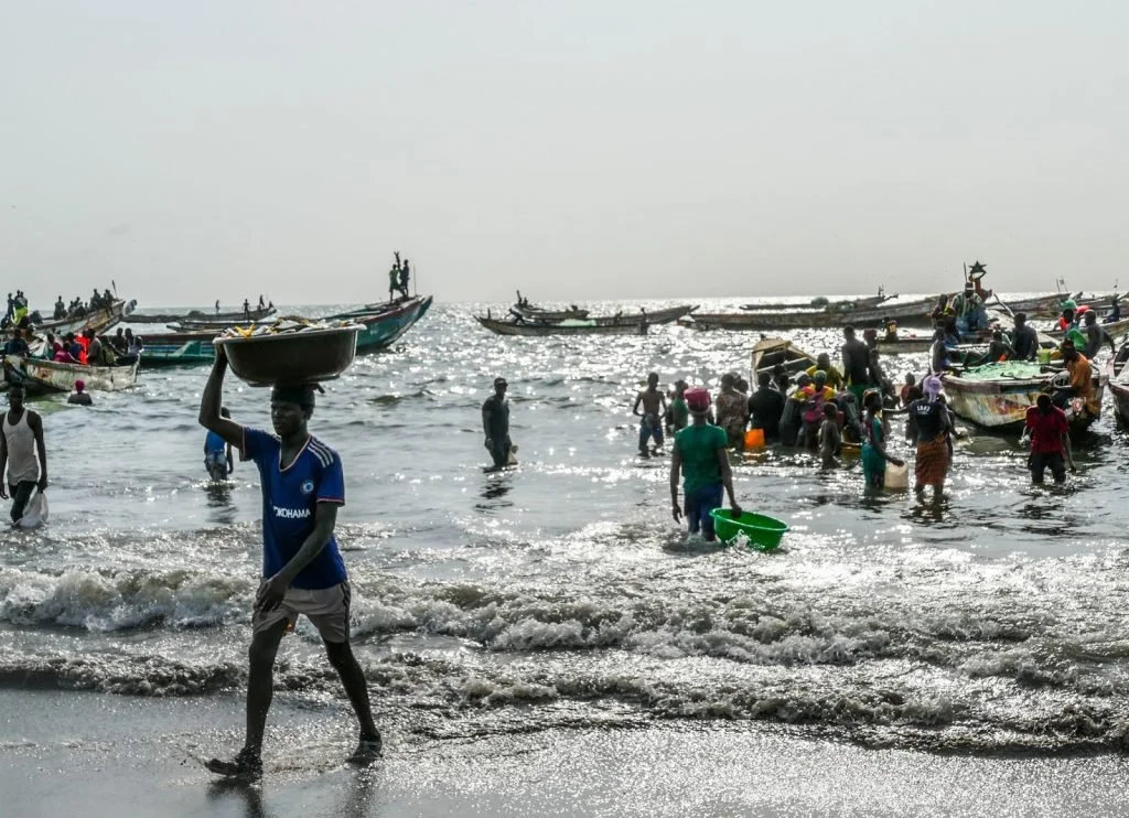 gambia_gallery_7.jpeg