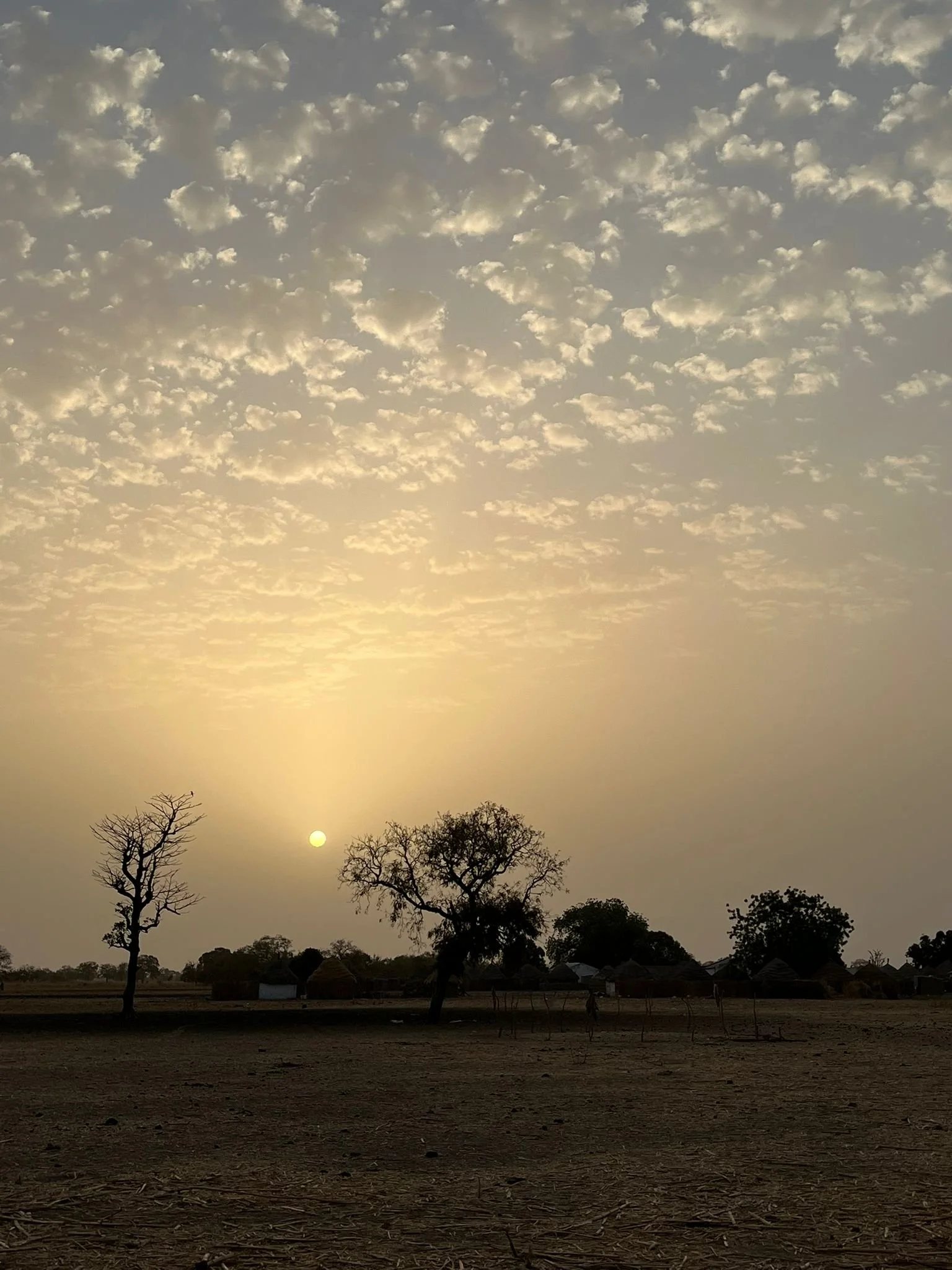 gambia_gallery_70.jpeg