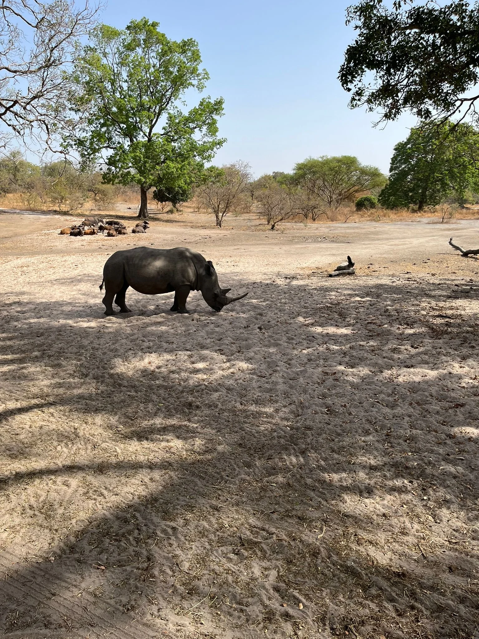 gambia_gallery_13.jpeg