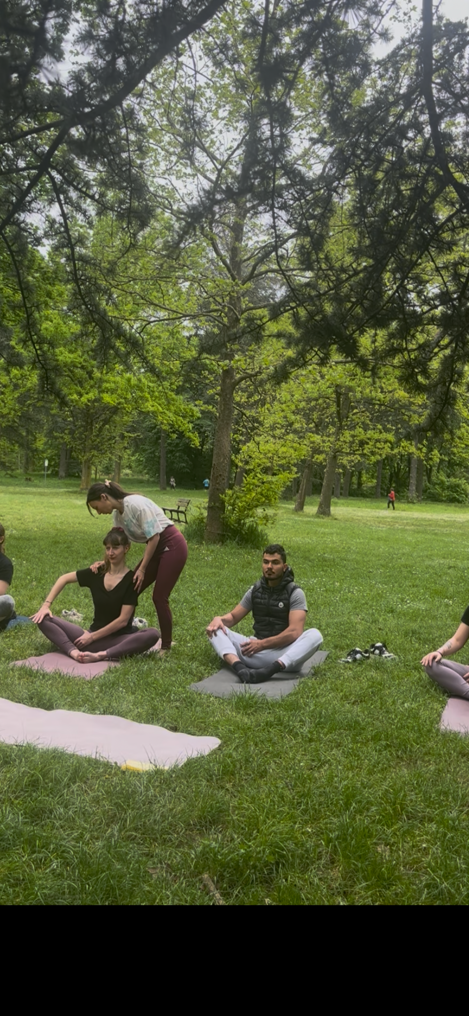Groupe de personnes pratiquant le yoga dans un parc entouré d'arbres, assises sur des tapis de yoga, certains en train de s'étirer ou de se reposer.