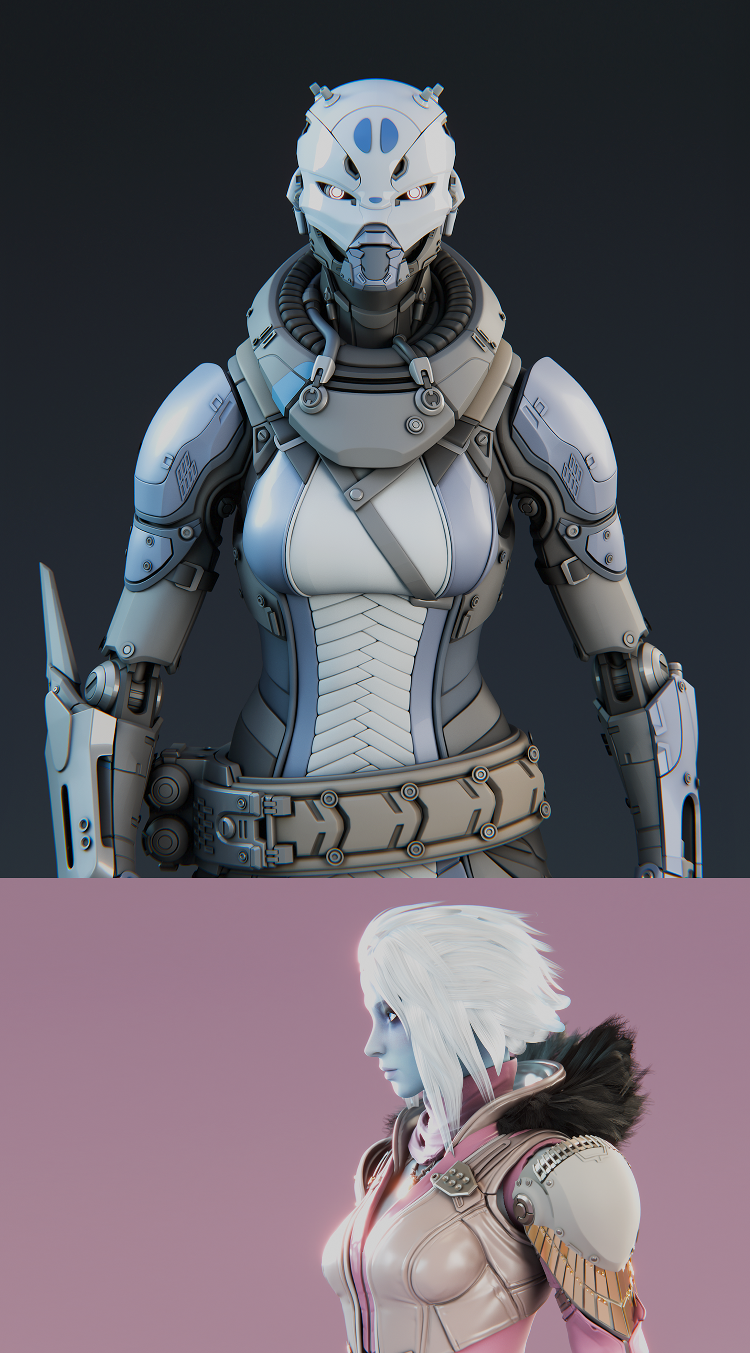 DESTINY NPCS