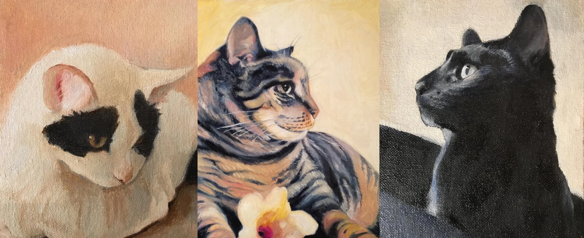 Cats.jpg