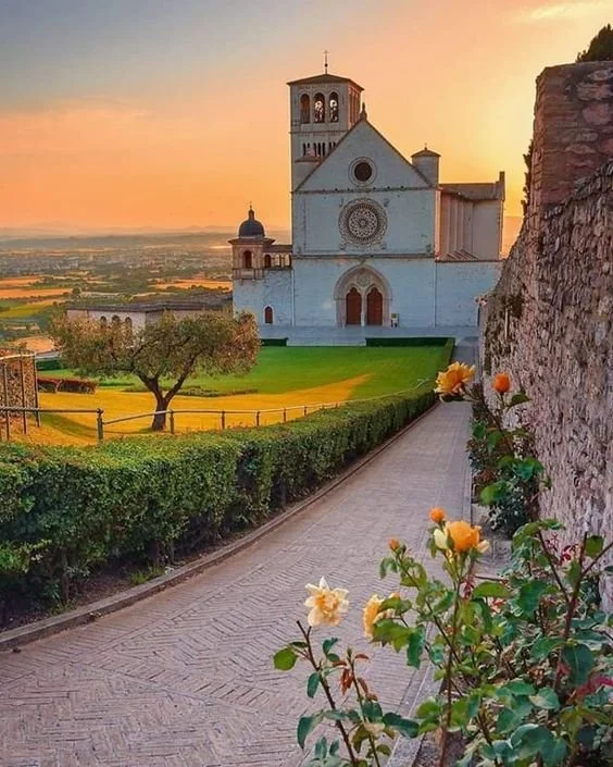A scenic pathway leading to a white cathedral in Assisi with a large rose window, surrounded by greenery and flowers, during sunset.
