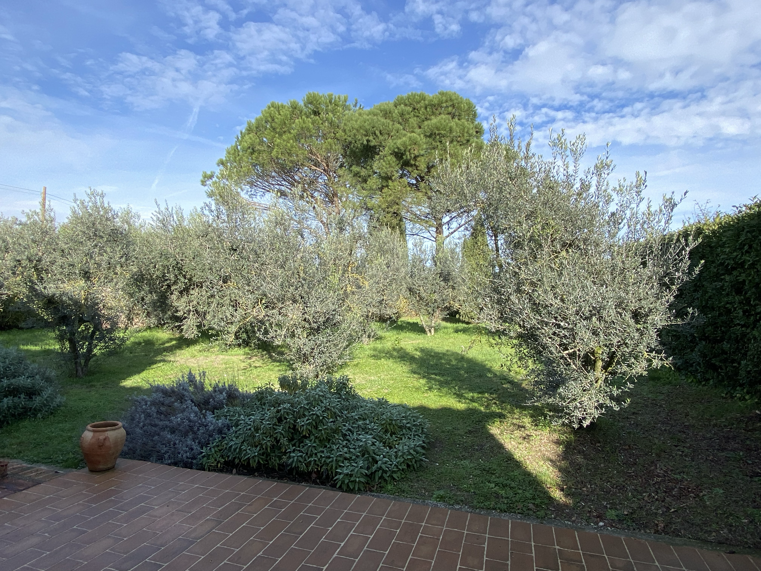 View from the kitchen 