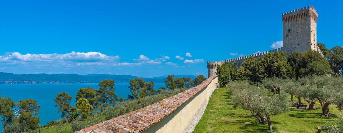 Historic stone castle with towers on a grassy hill, overlooking a body of water and distant mountains under a blue sky.