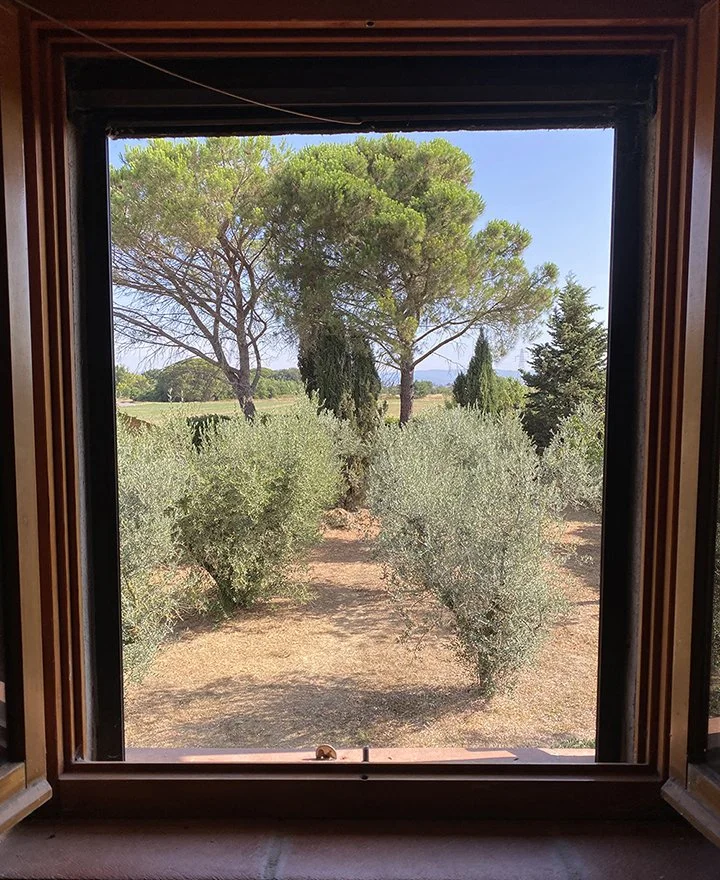 Castagni view back window.jpg